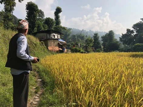 Mr. Ubedi, one of our hosts in Kaskikot at Sarangot hill, Pokhara region. The Annapurna massif can be seen within a five minutes walk, and Pokhara lake is visible on clear days.