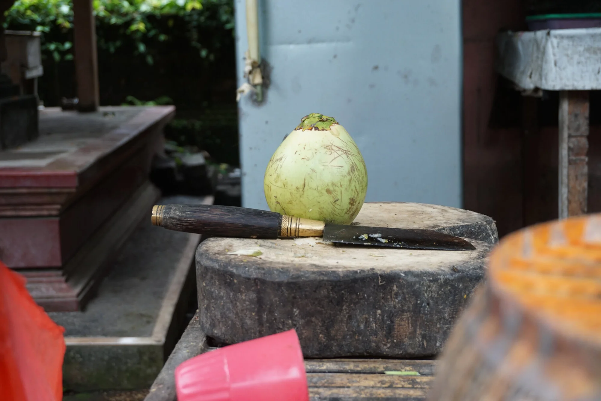 coconut.jpg