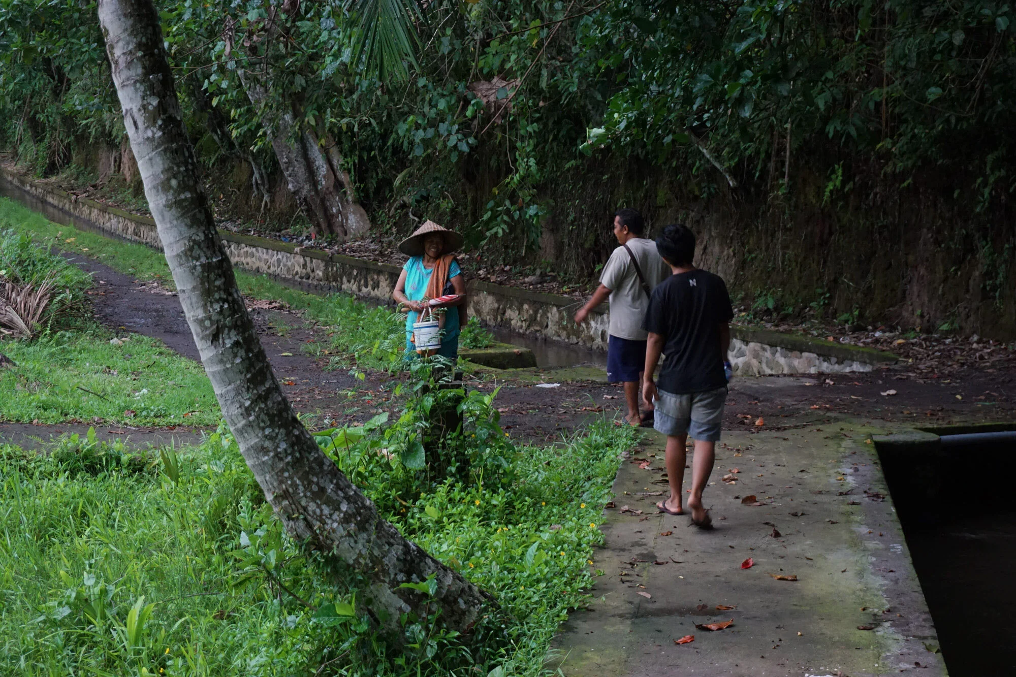 ubud_farmstay2.jpg