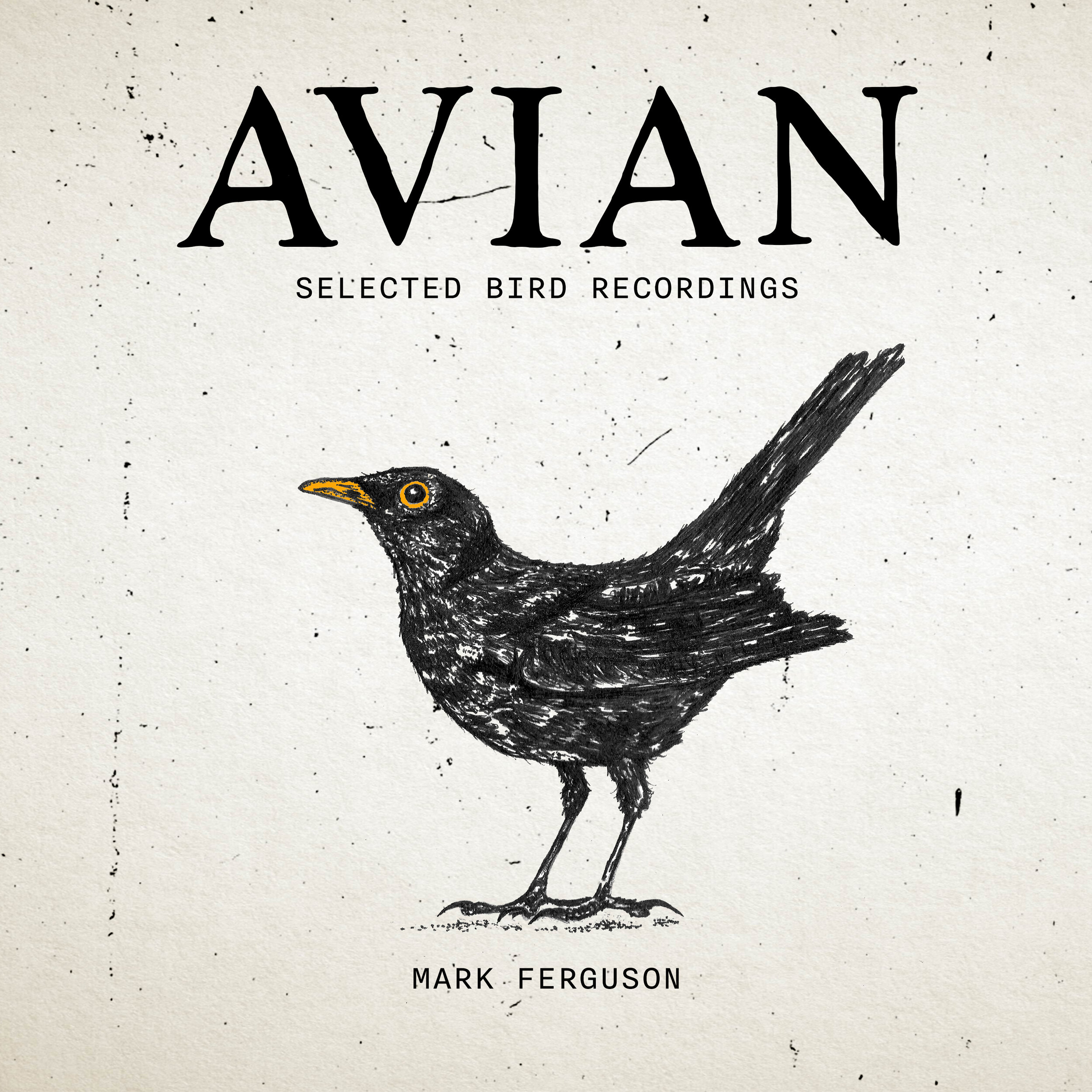 Avian Album Cover HR 1.jpg