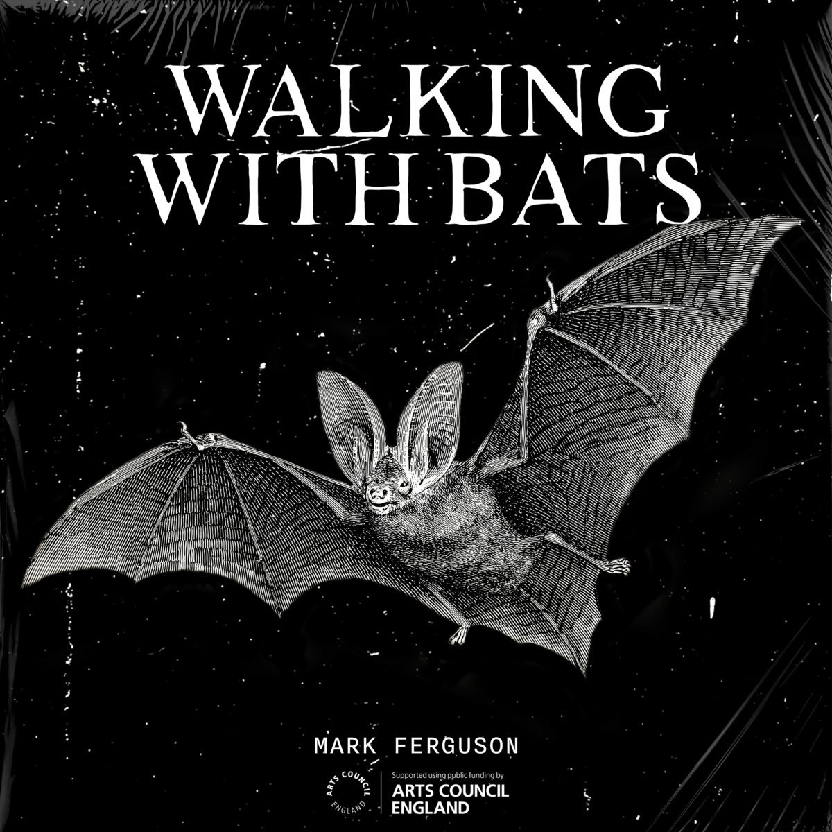 WalkingWithBats.jpeg