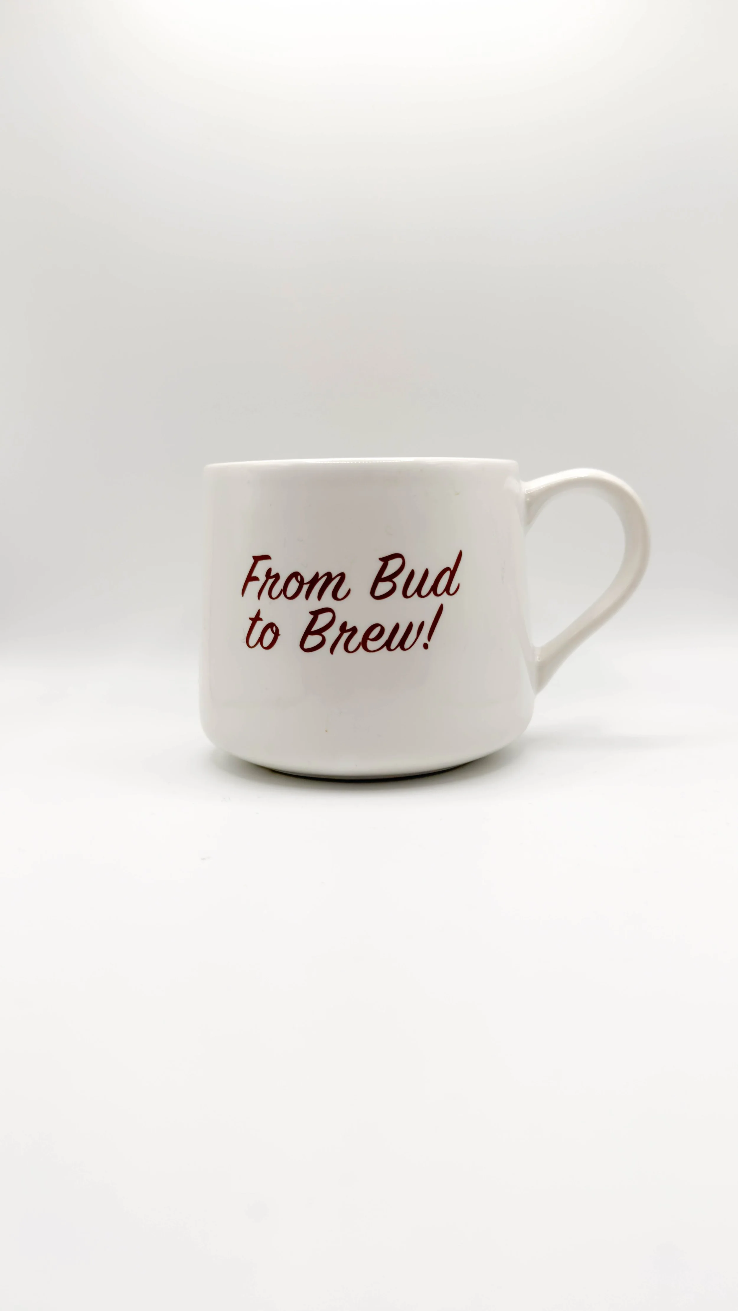 KC Brown CS Mug Back Product Shot.jpg