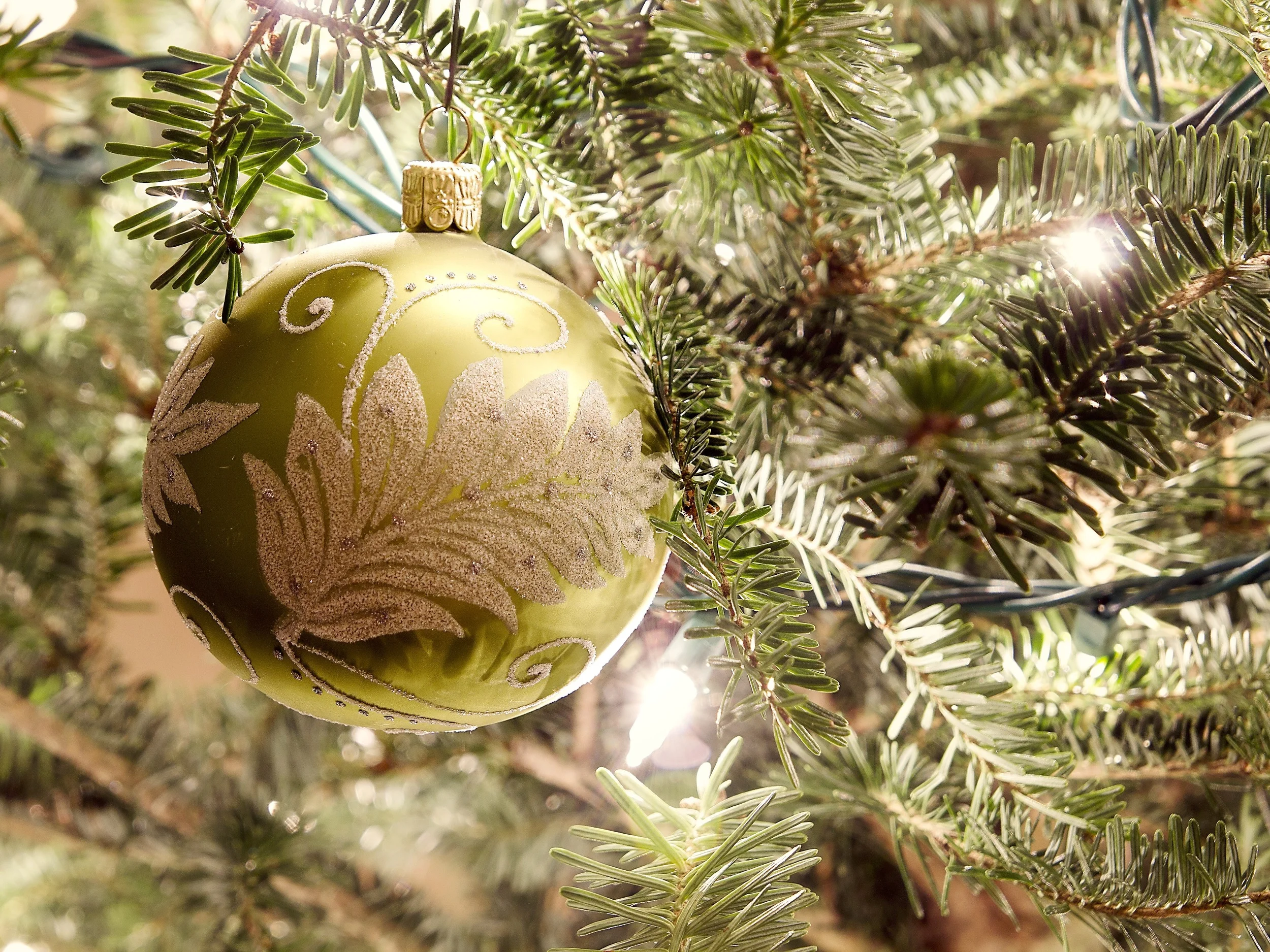 Christmas Celebrations