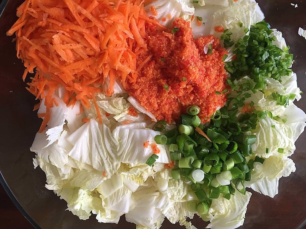 Kimchi_Zutaten.jpeg