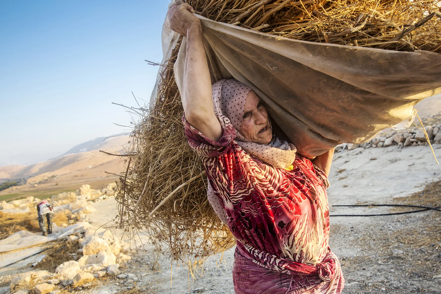 Palestine_occupation_Jordan_Valley_shepherd_Jeppe_Schilder_02.jpg