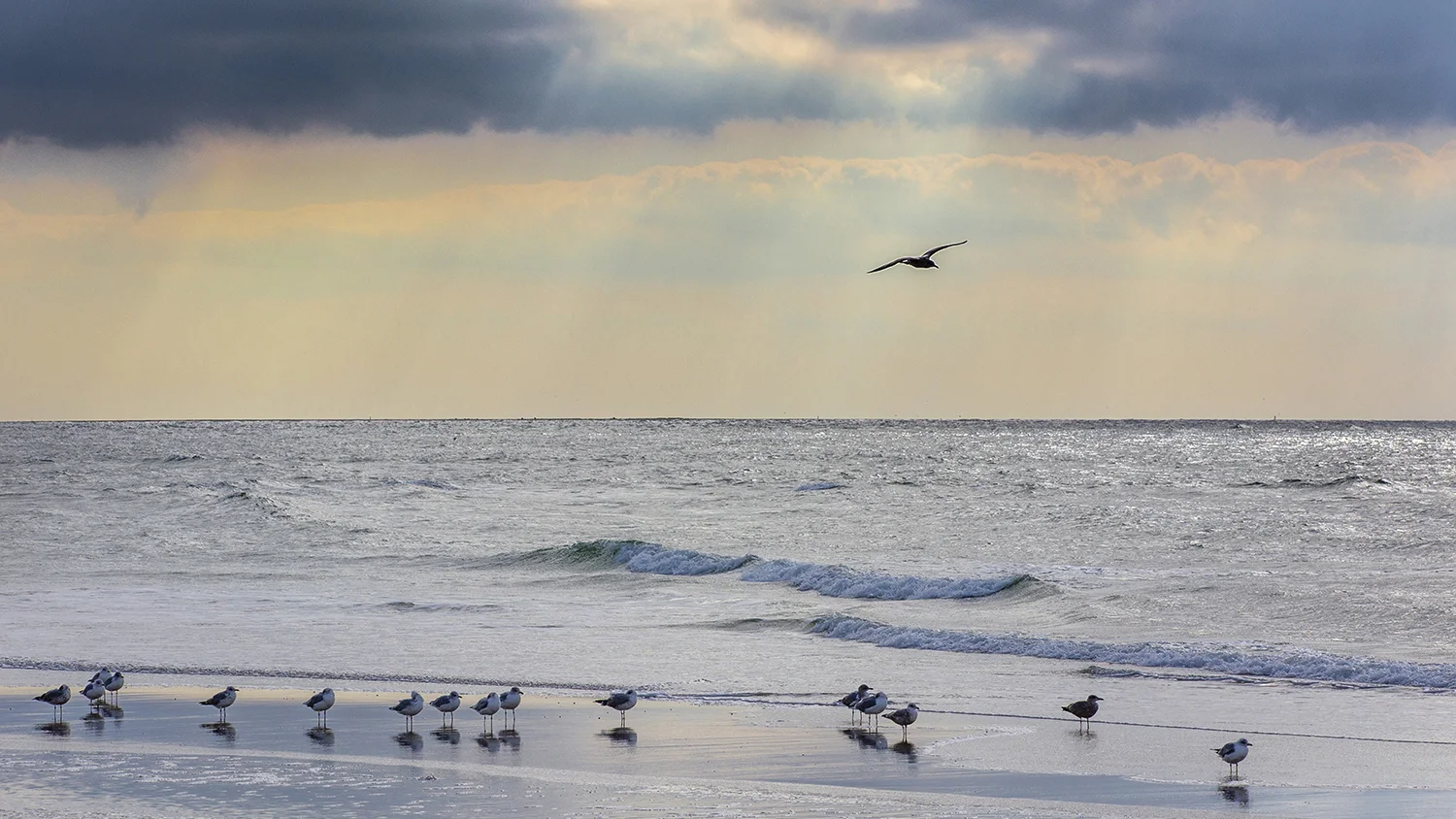 Vliehorst, Vlieland island, the Netherlands