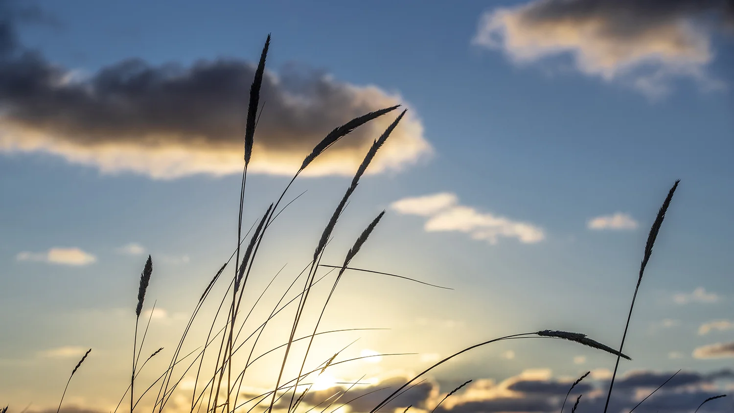 De Muy, Texel island, the Netherlands