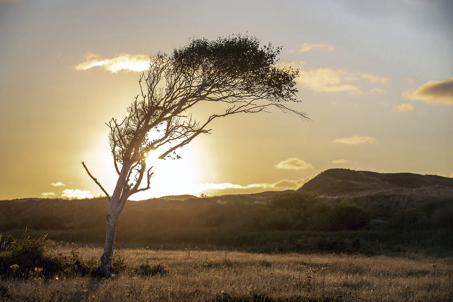De Muy, Texel island, the Netherlands