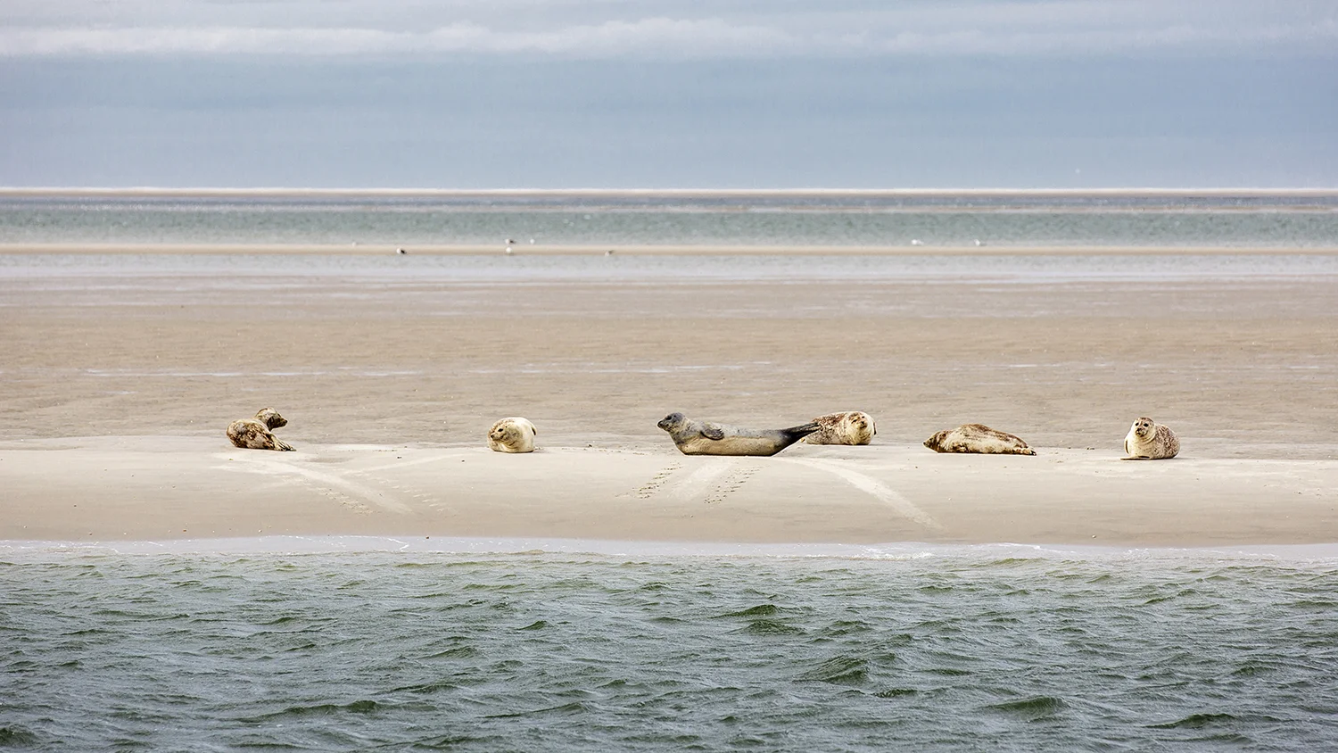 Eierlandse Gat, Texel island, the Netherlands