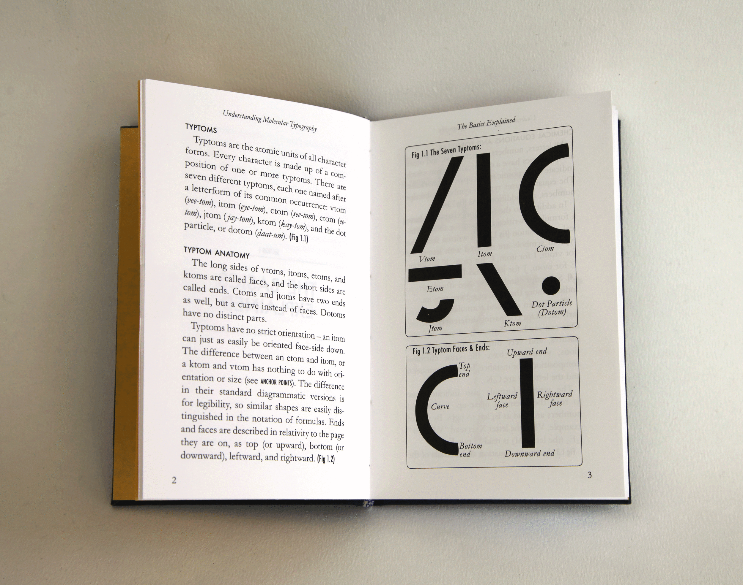 Leslie_UndMolTypography_2.gif