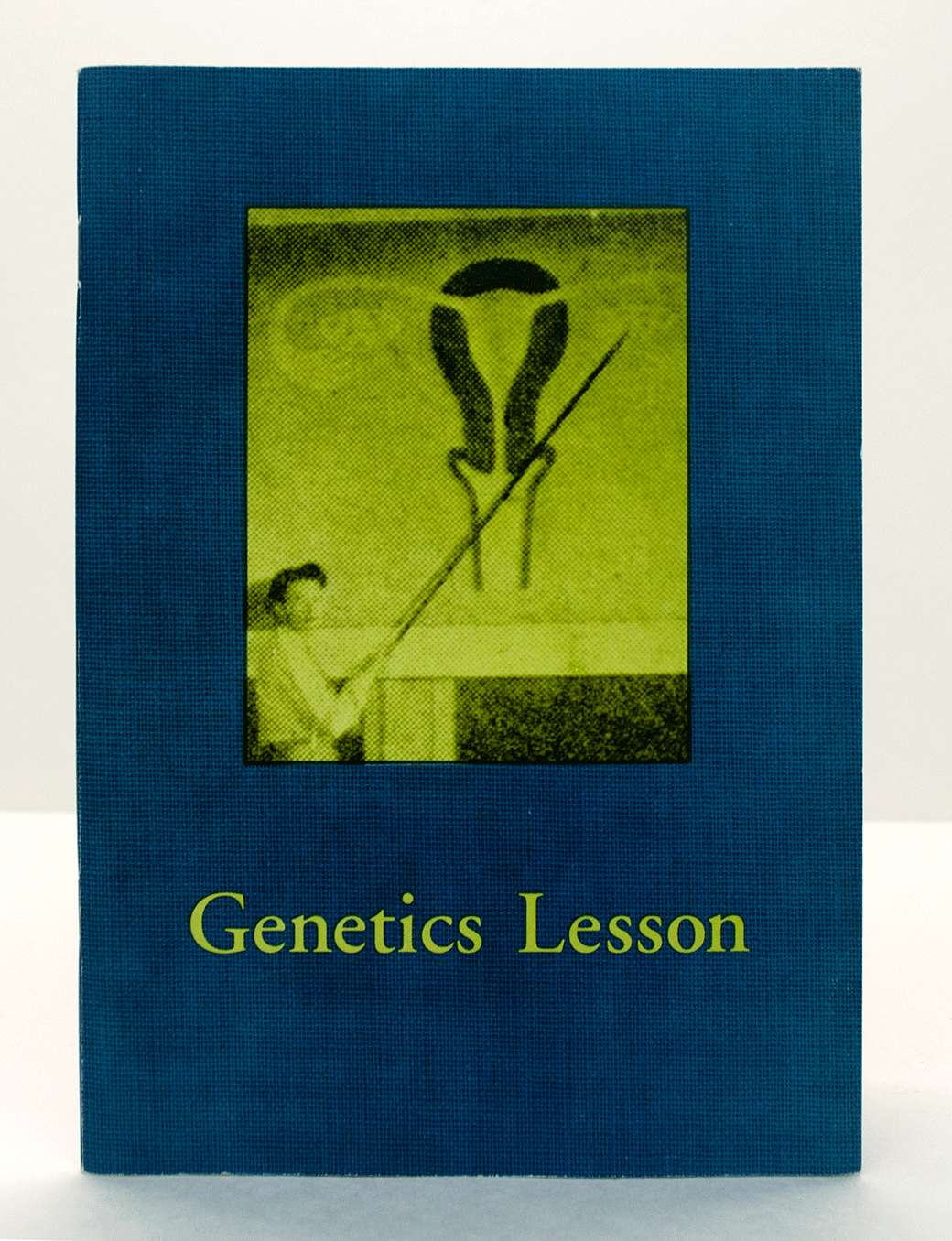Niff_Genetics_Lesson_300.gif