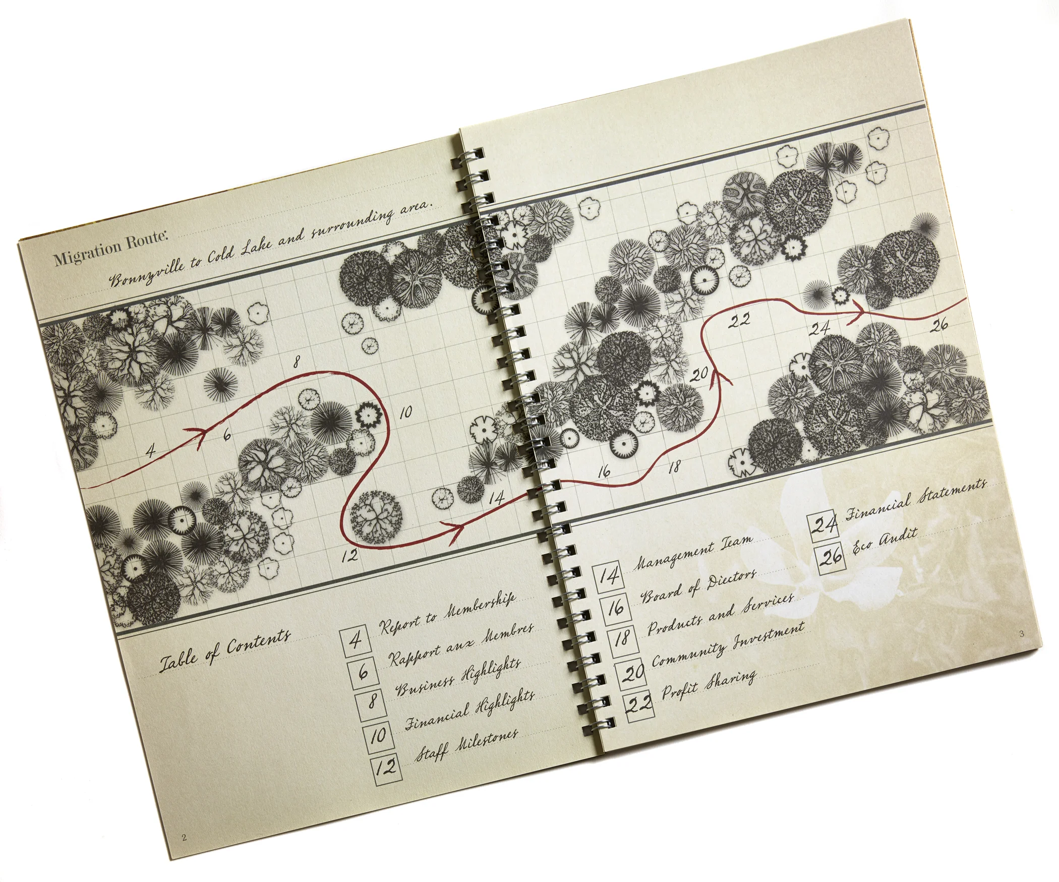  graphic design, illustration &amp; design, Marc Nipp 