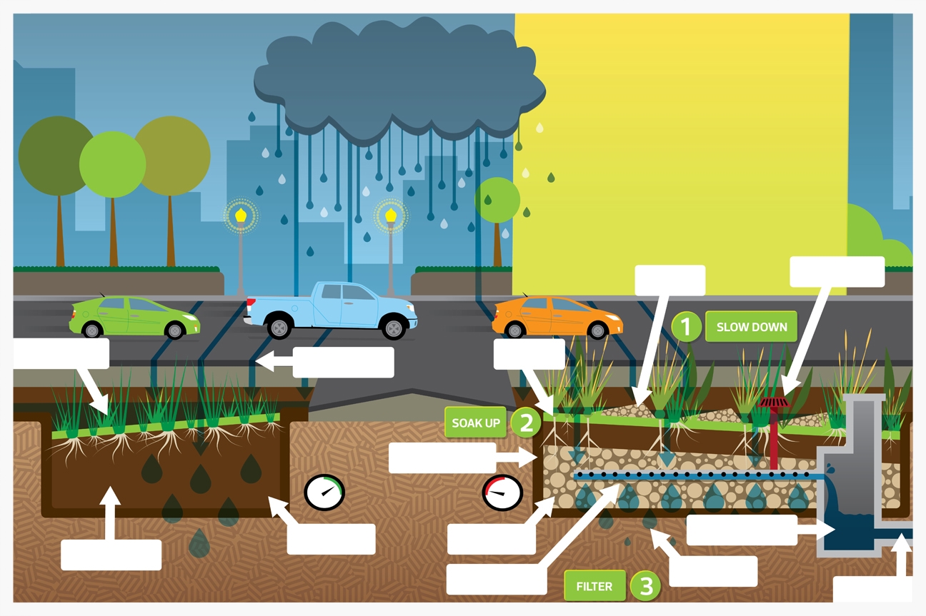 Bioswale Signage SM.jpg