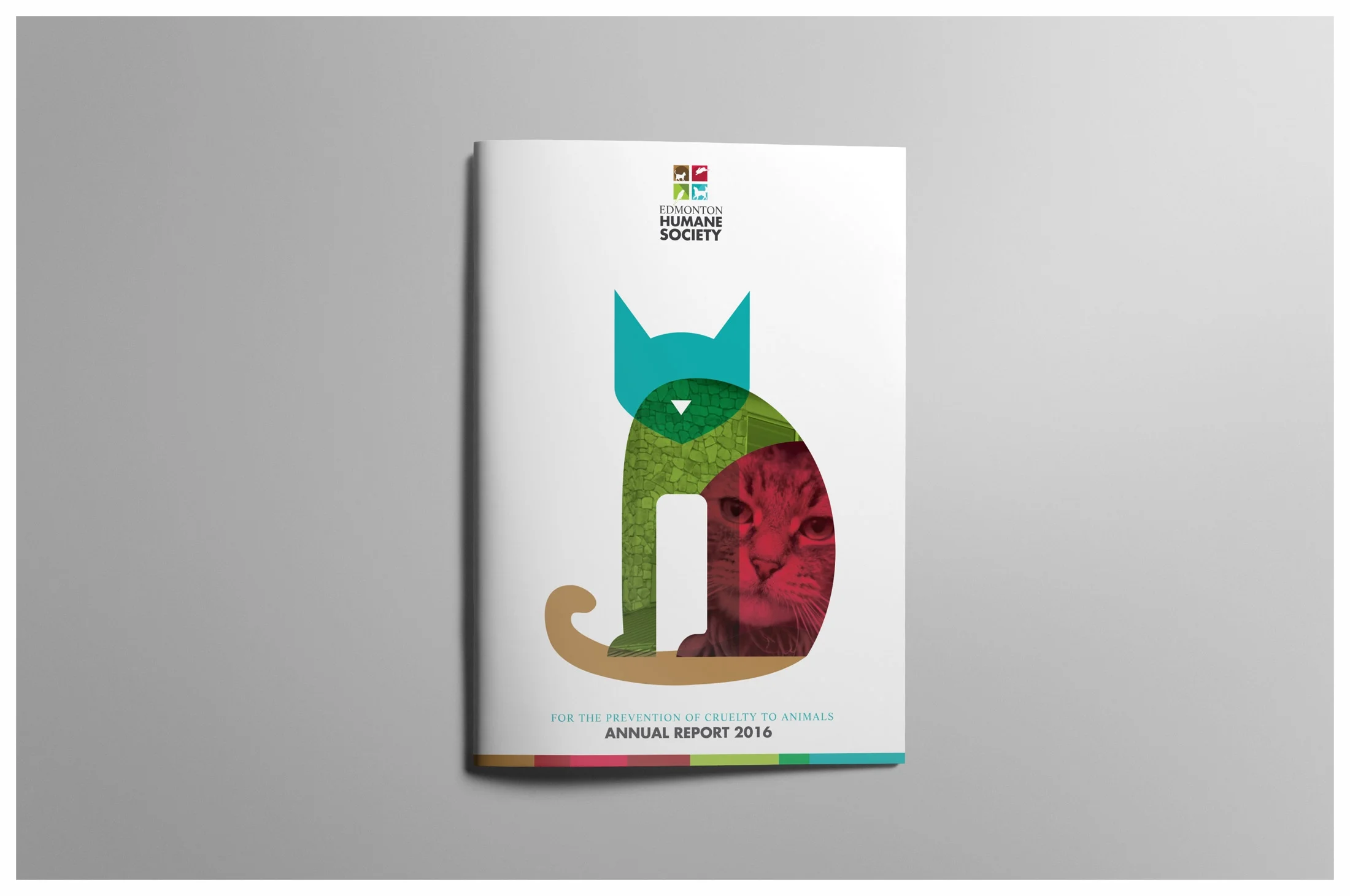  graphic design, illustration &amp; design, Marc Nipp 