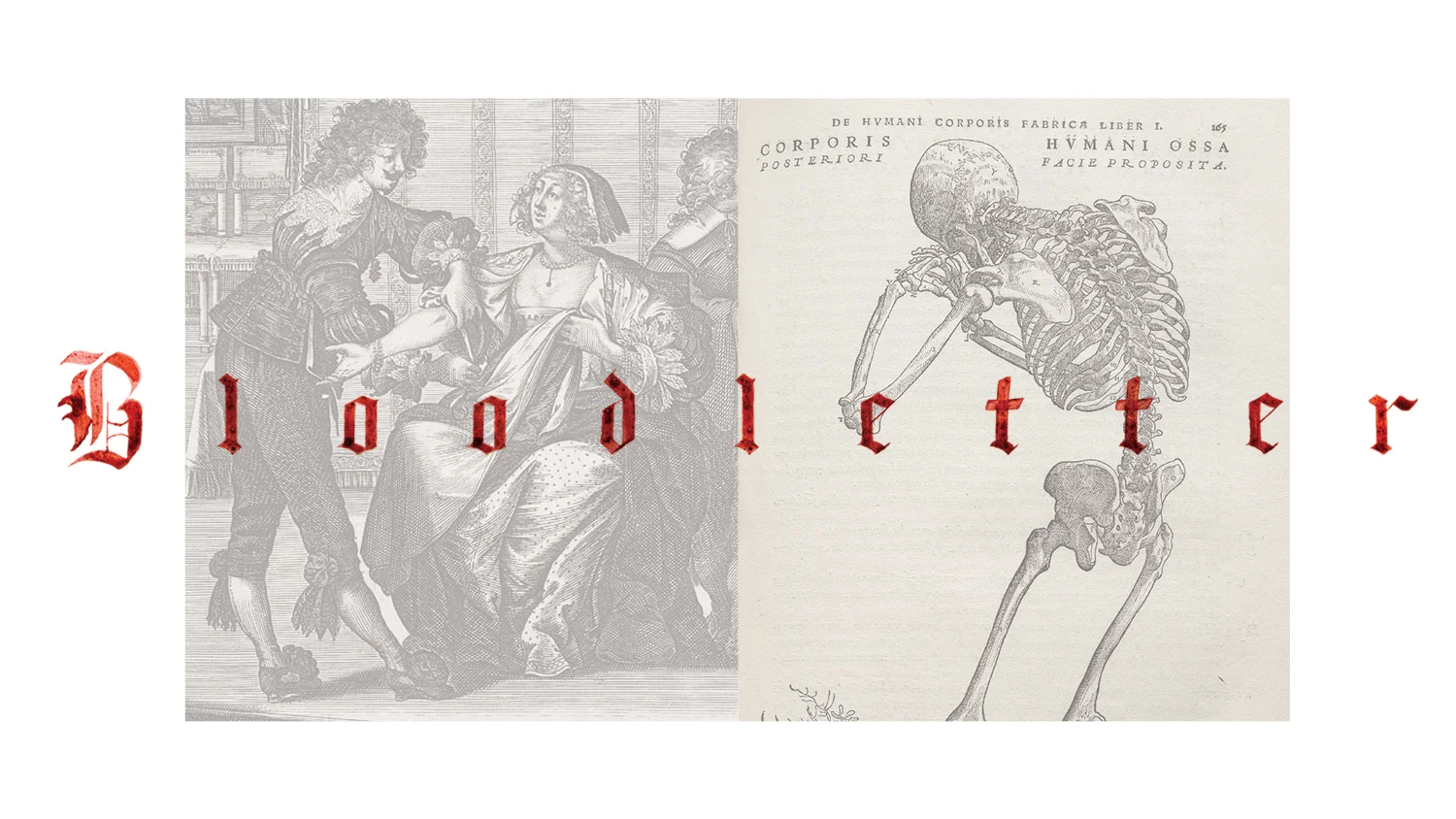 Bloodletter_Specimen.jpg