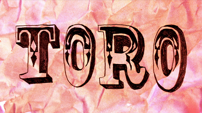 toro5.png