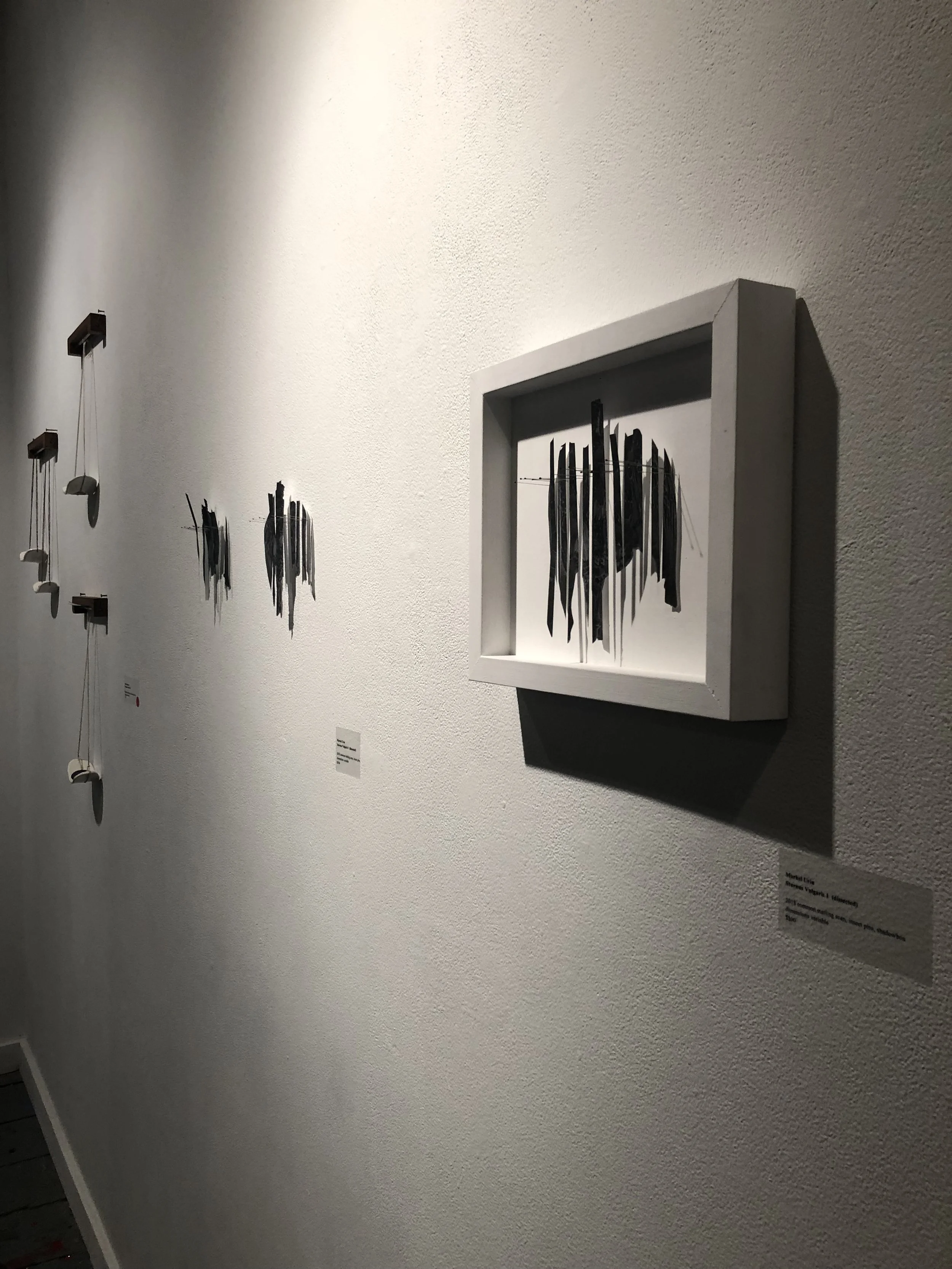 image1 (5).jpeg