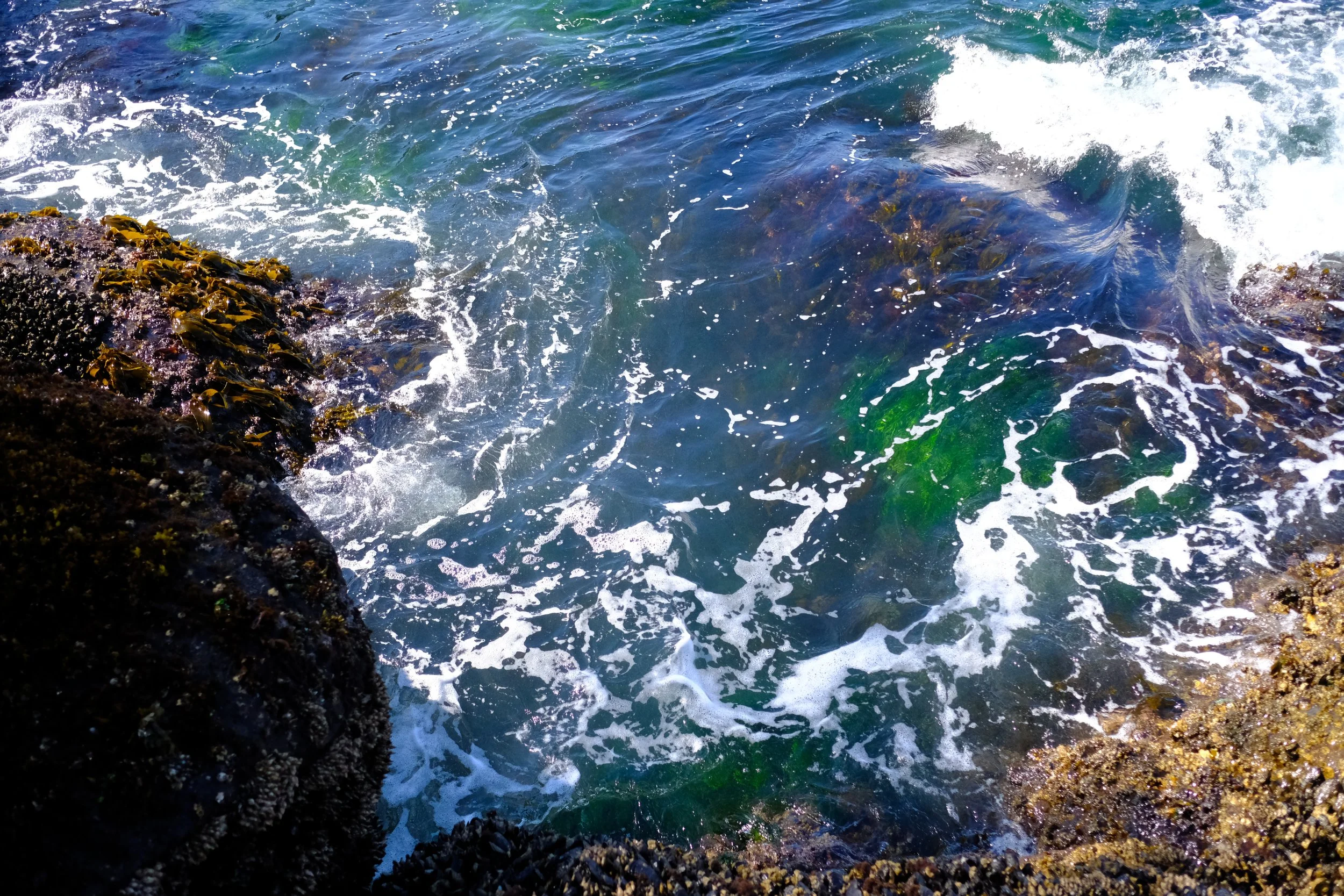 DSCF1224.JPG