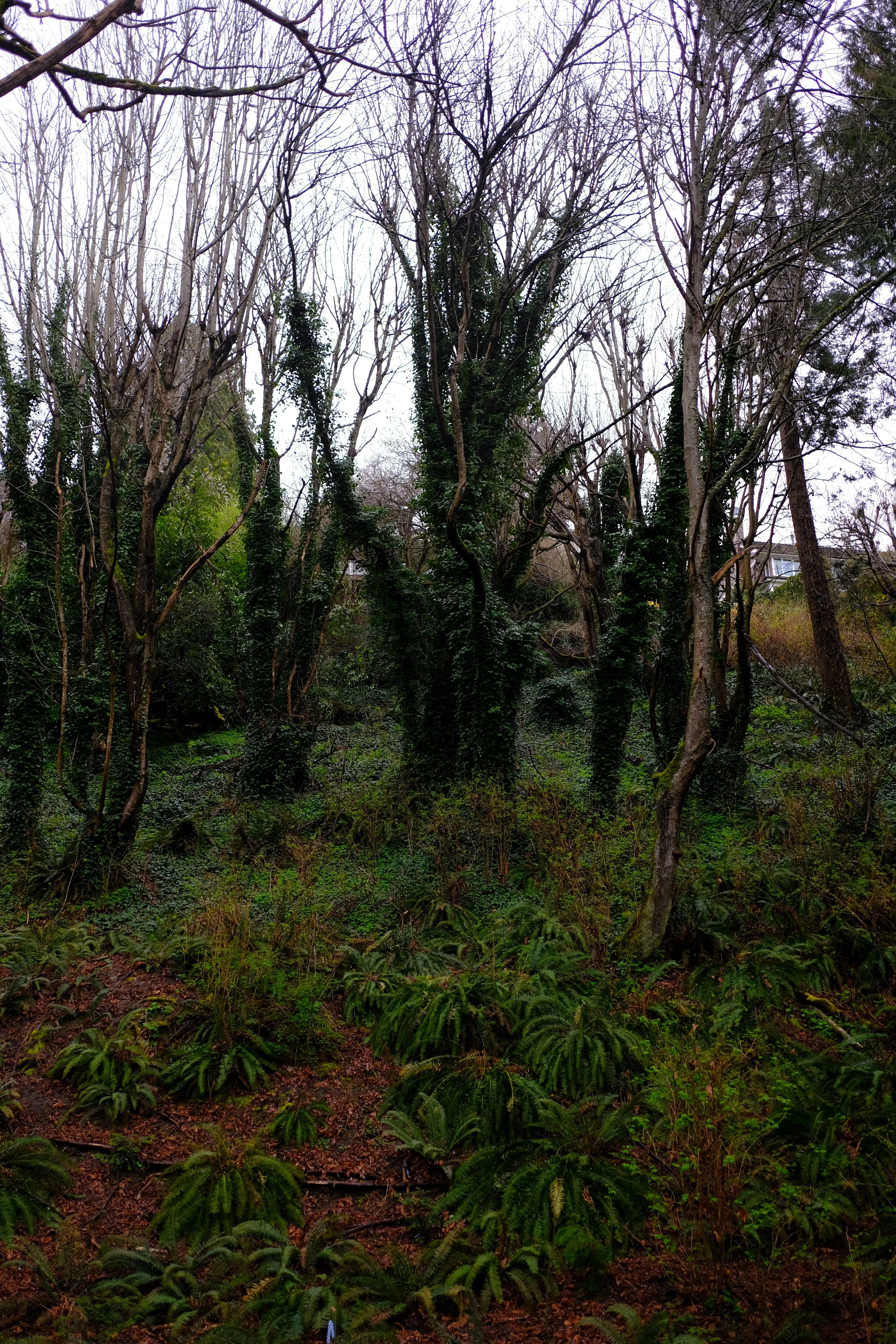 DSCF0333.JPG
