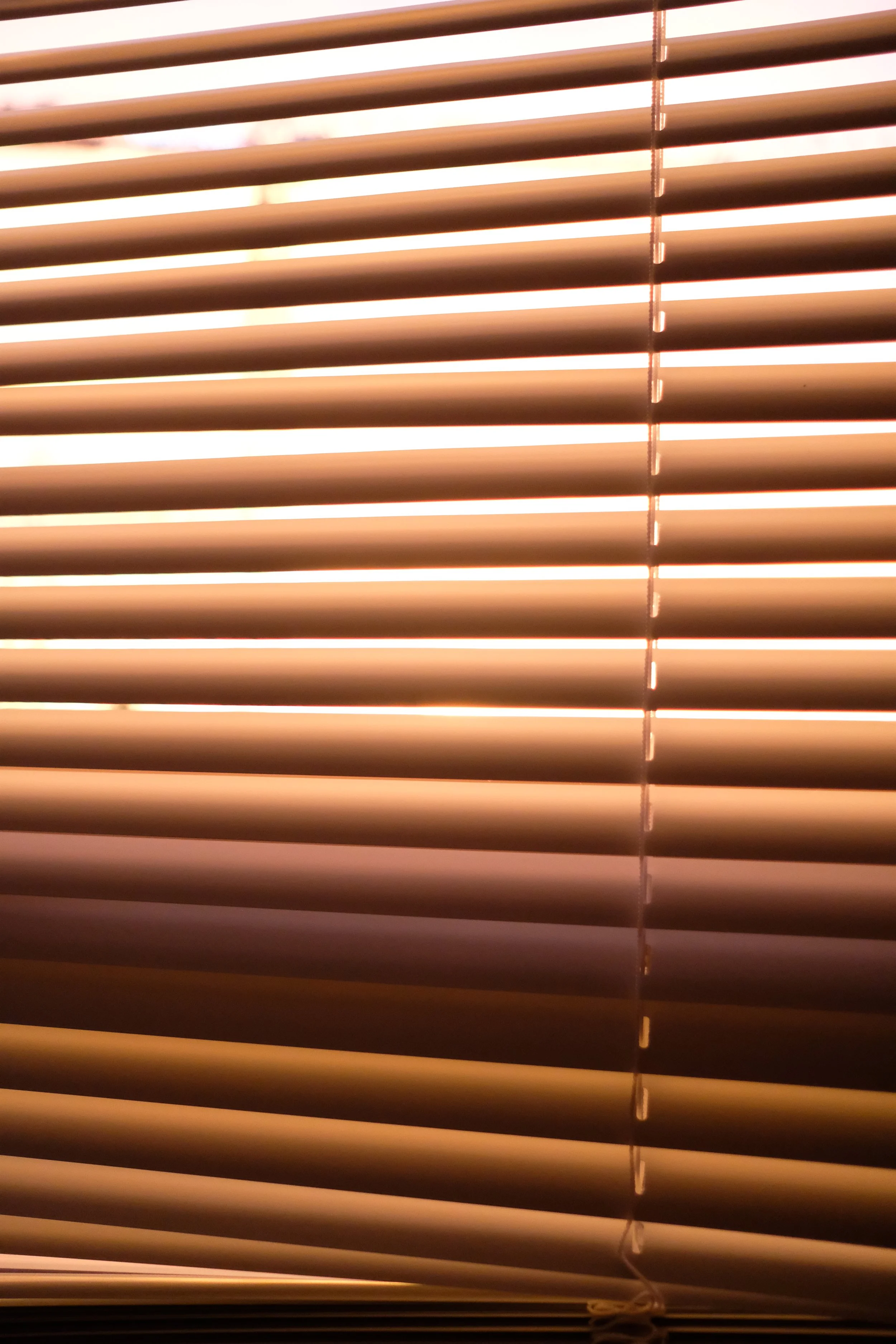 DSCF9856.JPG