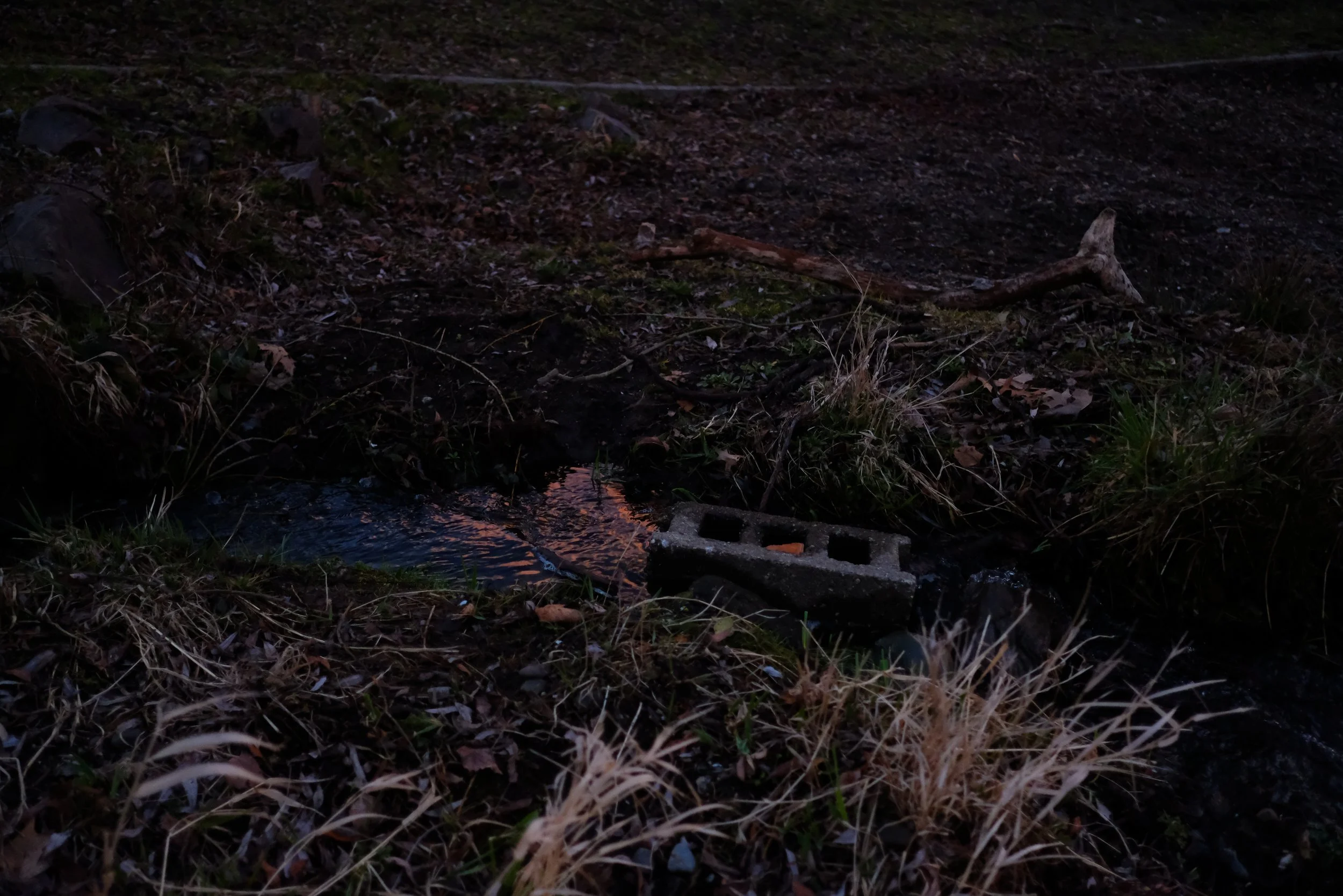 DSCF9932.JPG
