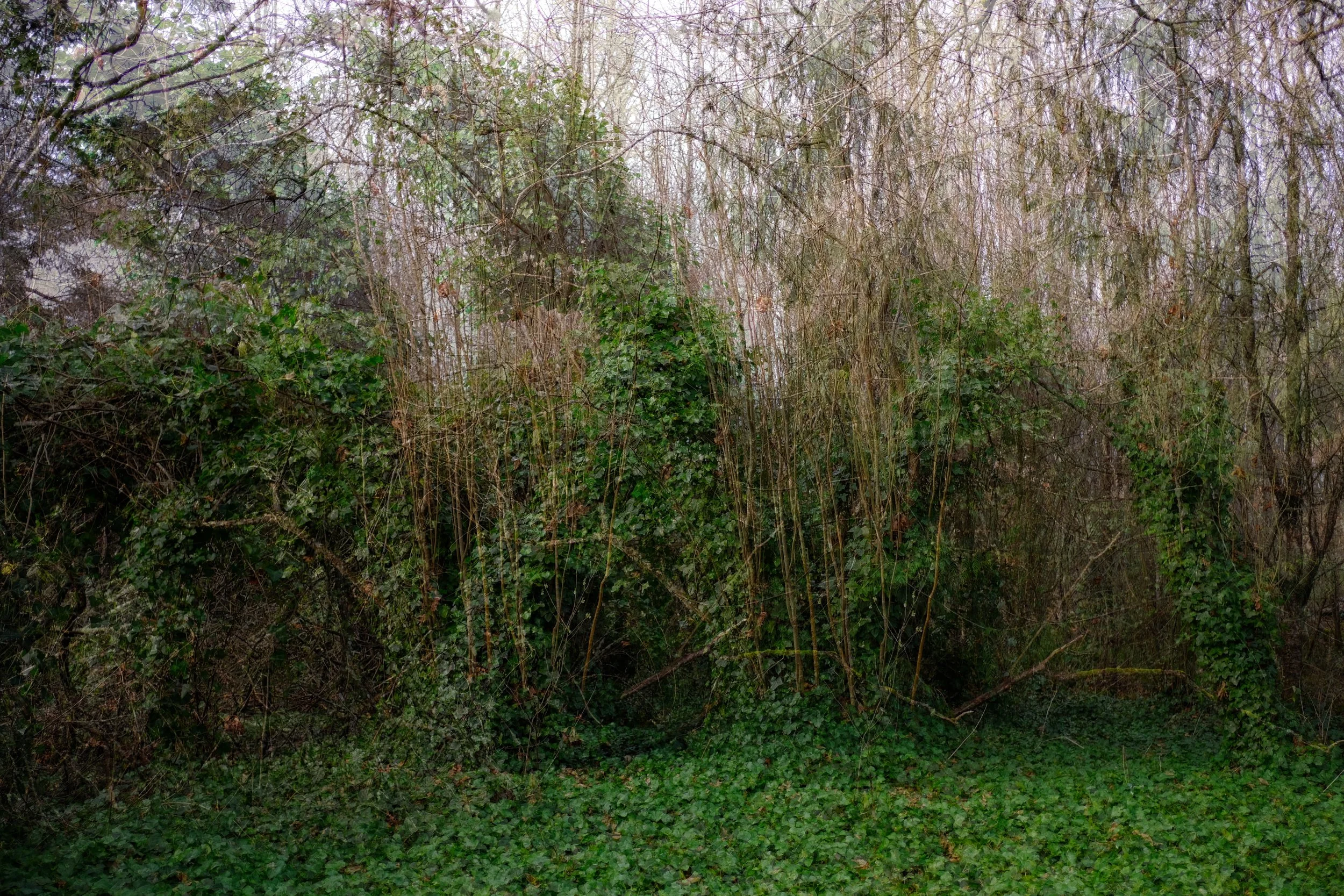 DSCF9190.JPG