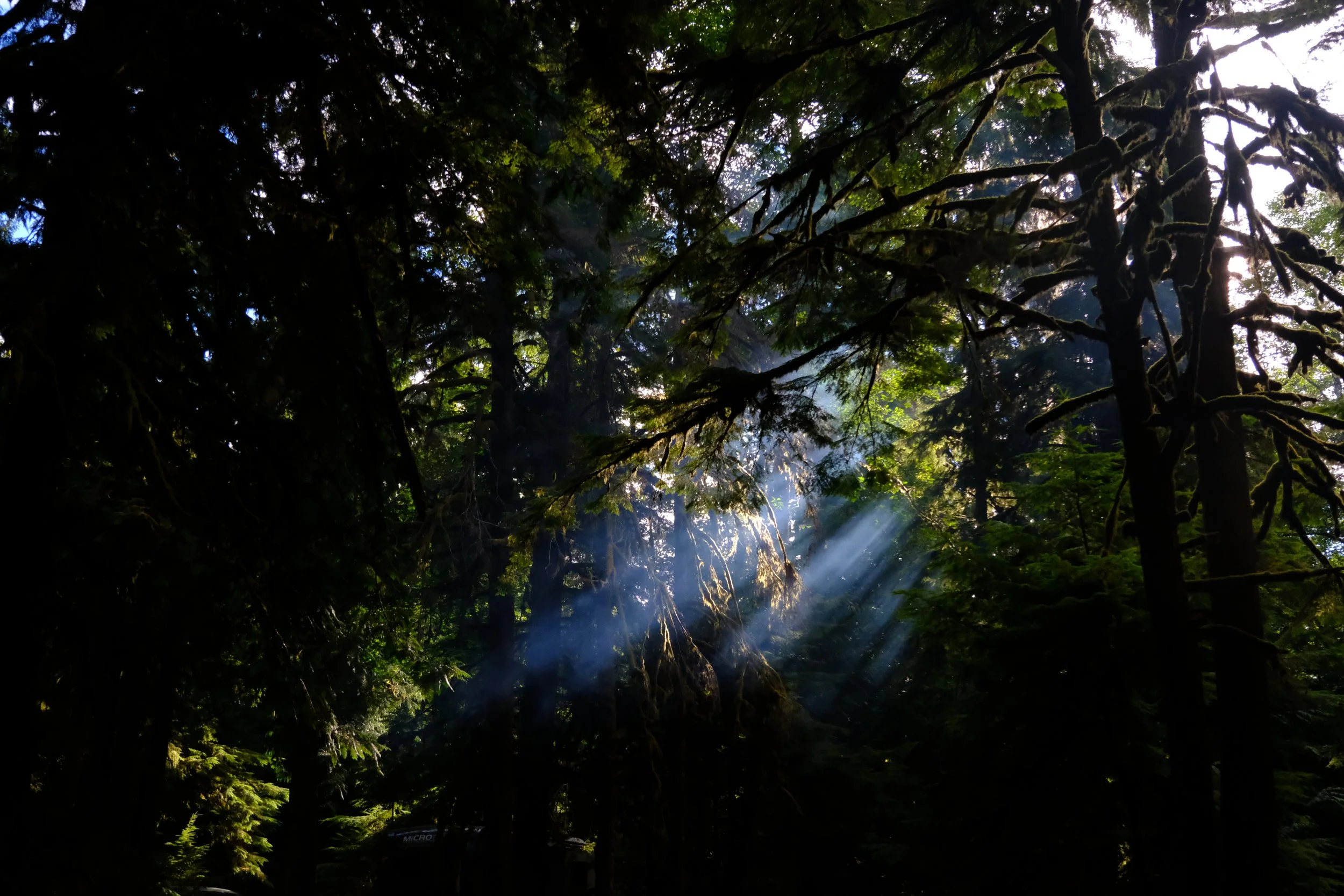 DSCF5714.JPG