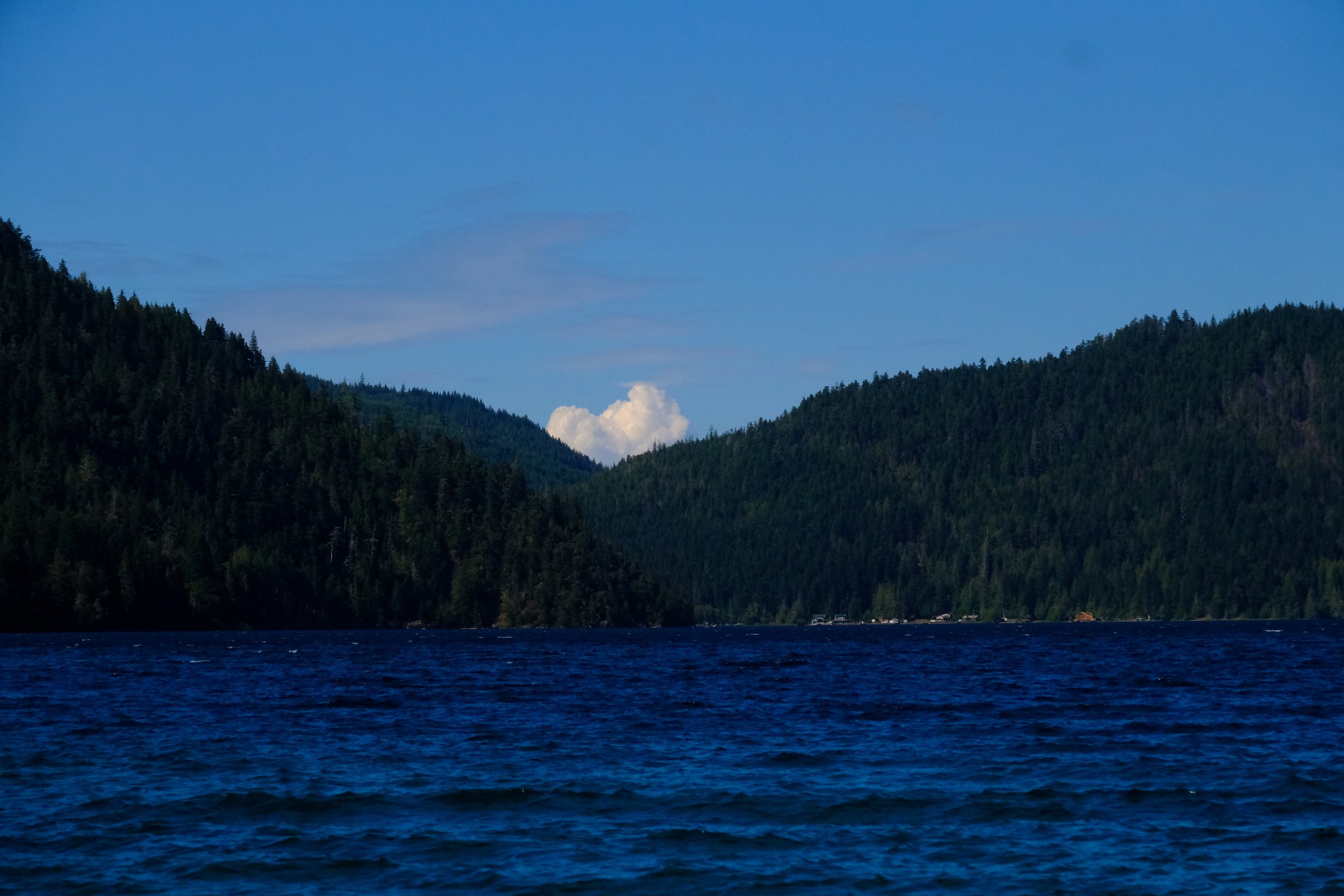 DSCF6036.JPG