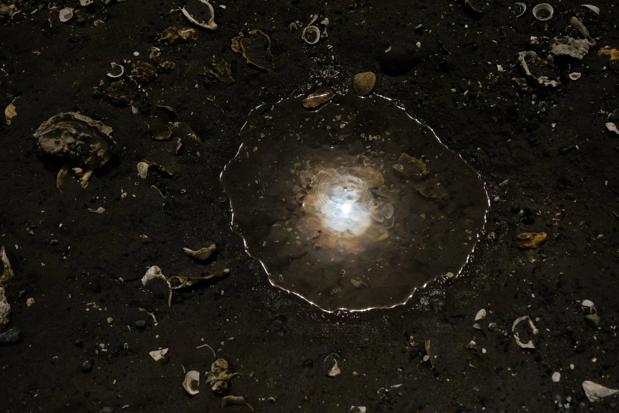 DSCF4742.JPG