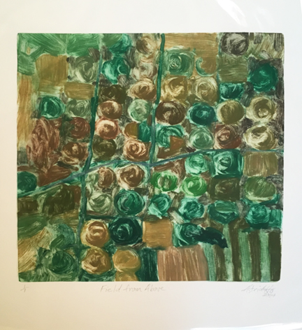 Field from Above, Astrid Ho, 2014.