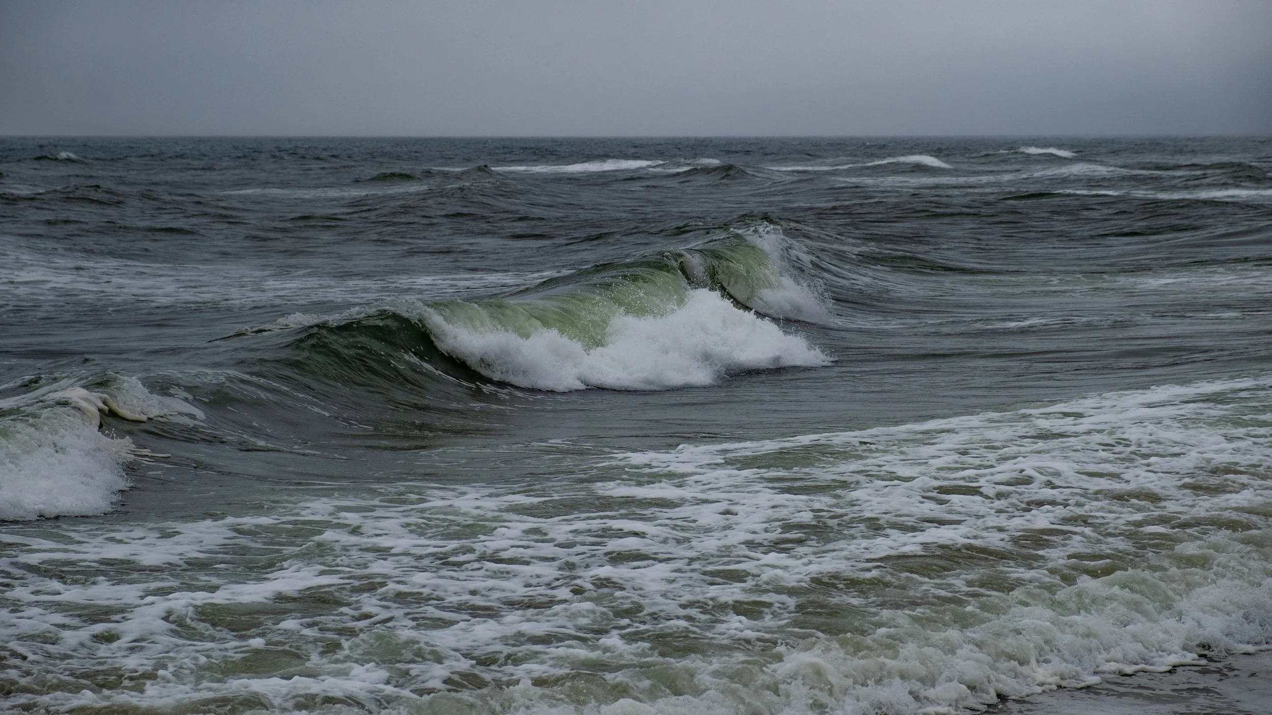 DSCF6607.jpg