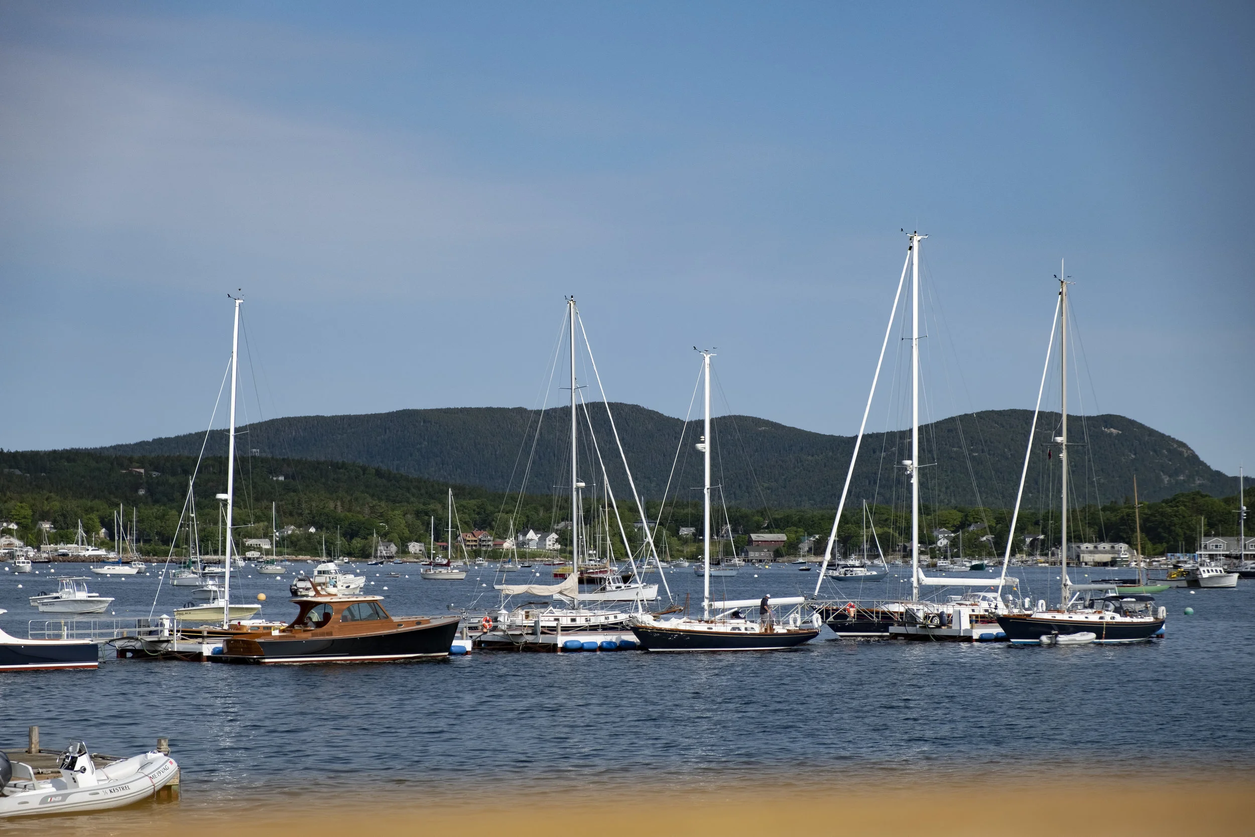 _DSF8837_1.jpg