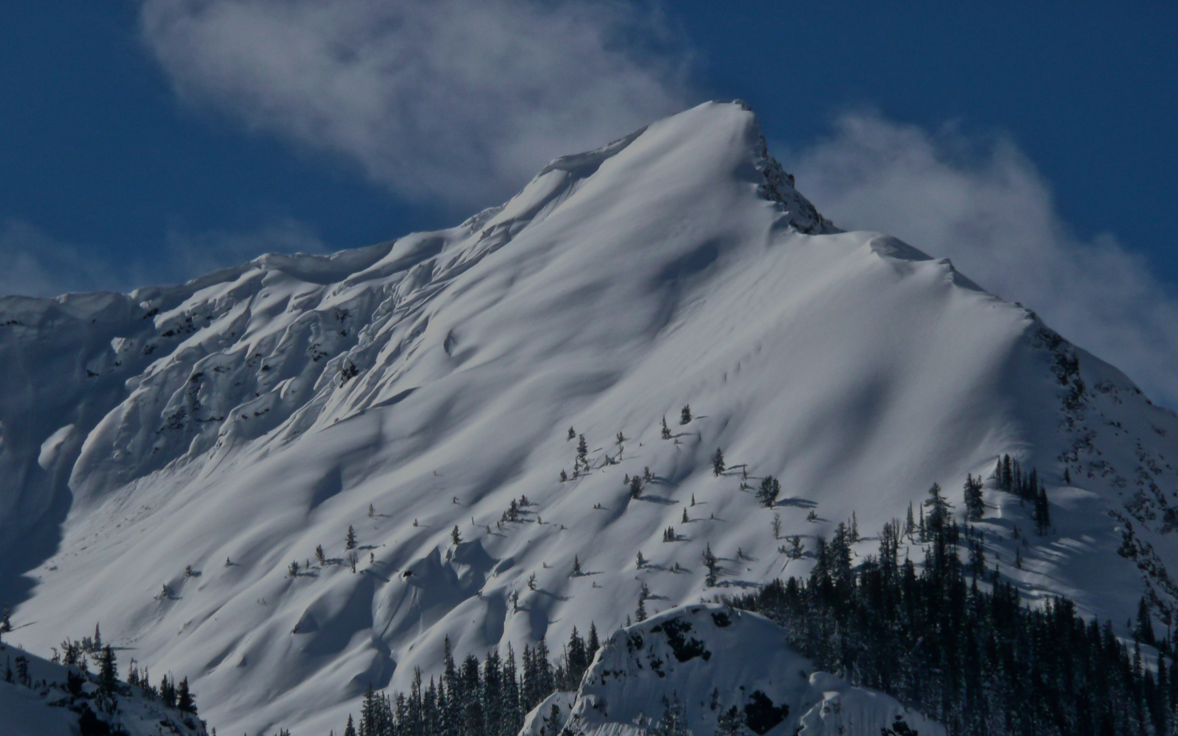 the fin - horizontal - Copy.JPG