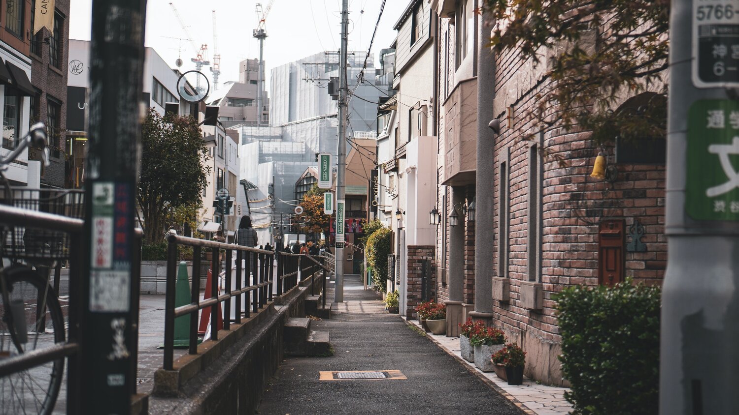 MOTOKYO-Tokyo Guide & Japanese lesson