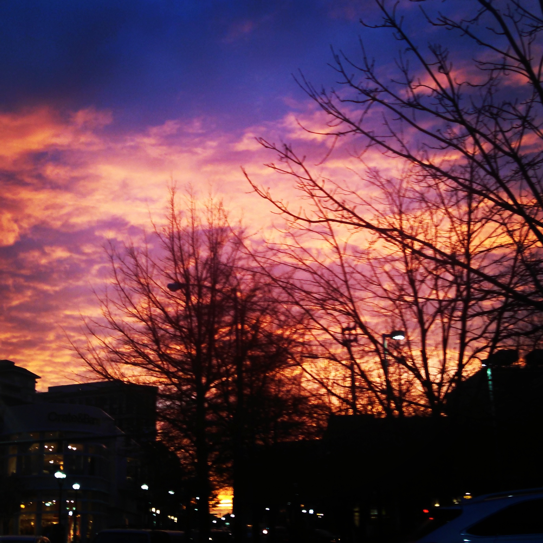 One magical evening in my neighborhood.