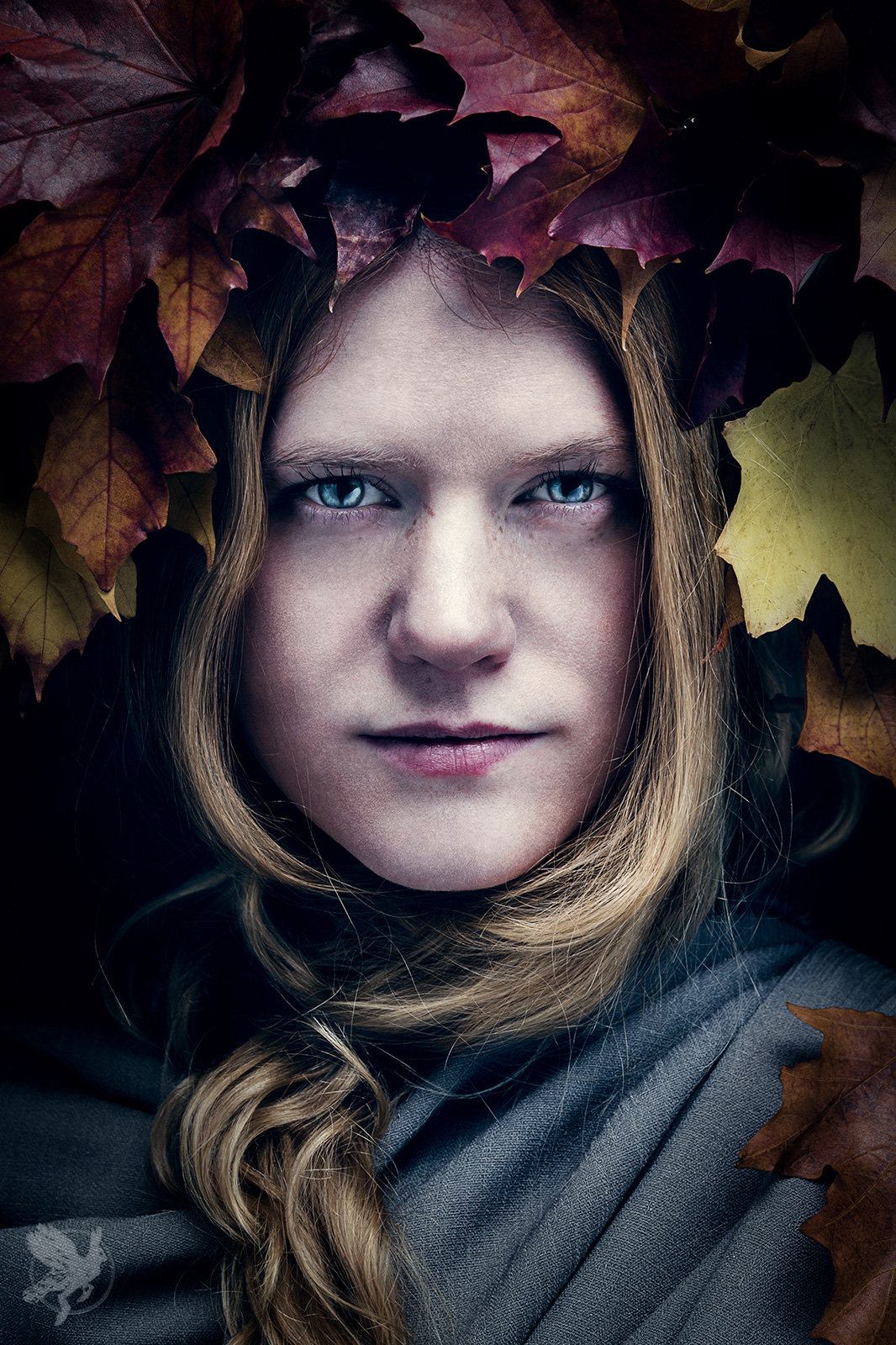 © Copyright Skvader Media 2015. All rights reserved.
