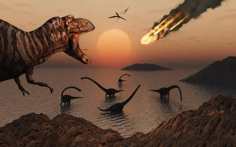 Estamos diante de uma extinção em massa das academias?