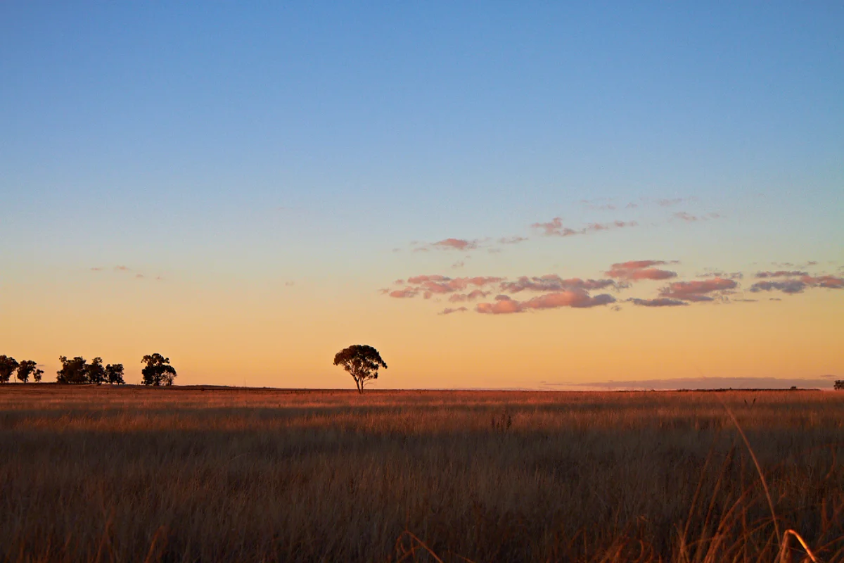 2012-04-03 9YP Aus-01475.CR2.p.jpg