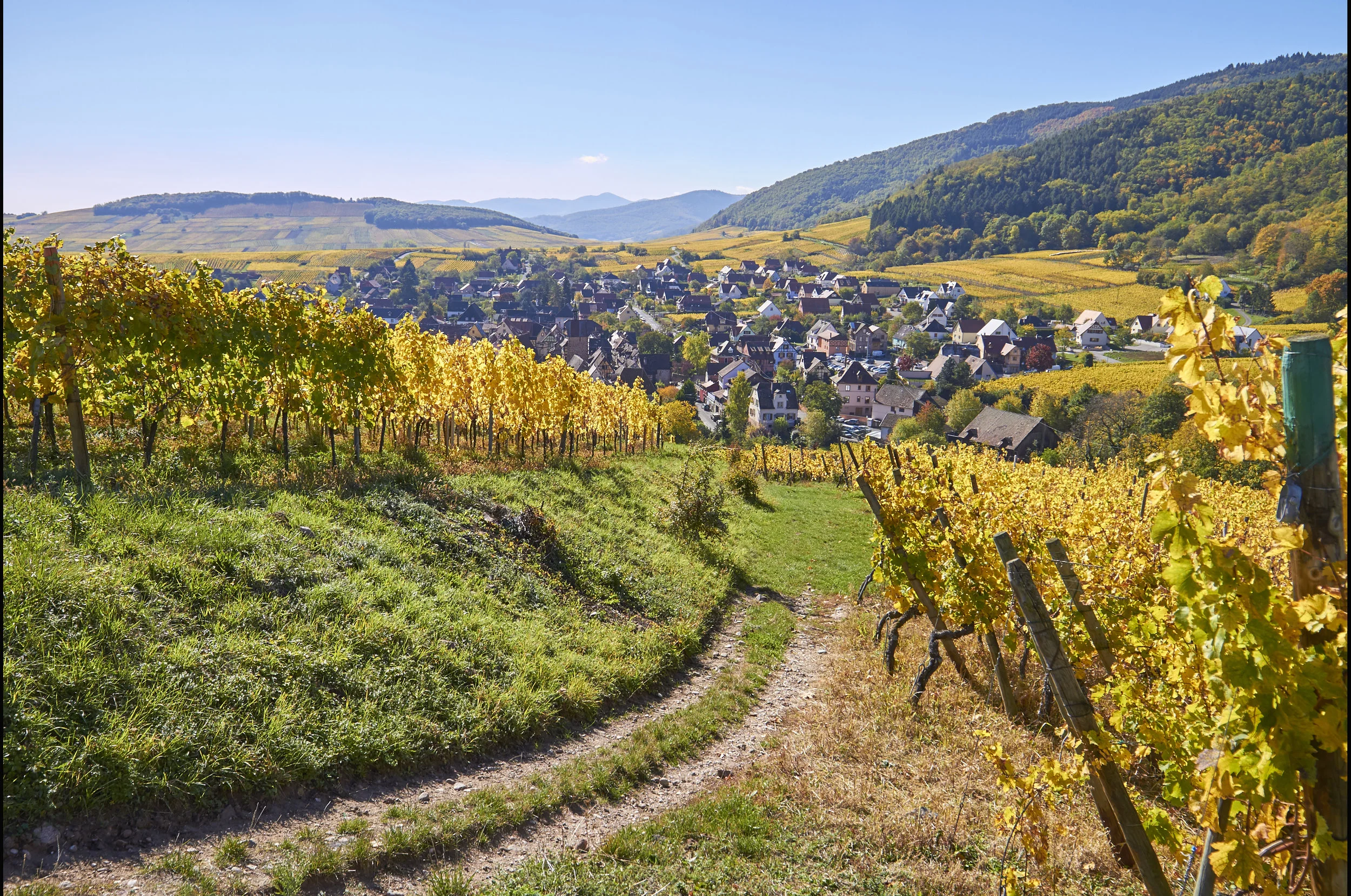 20171013_9YP_RDV 00320.jpg