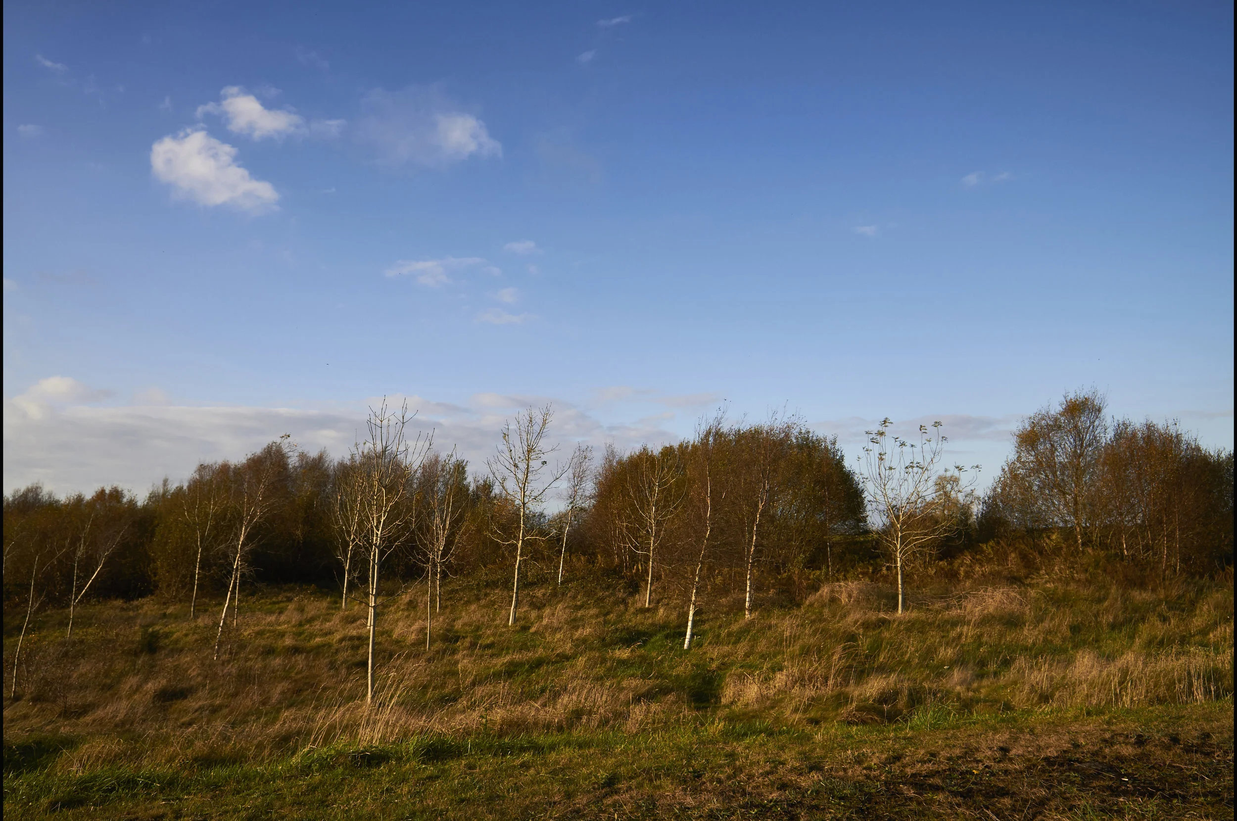 20171101_9YP_Ire 00226.jpg