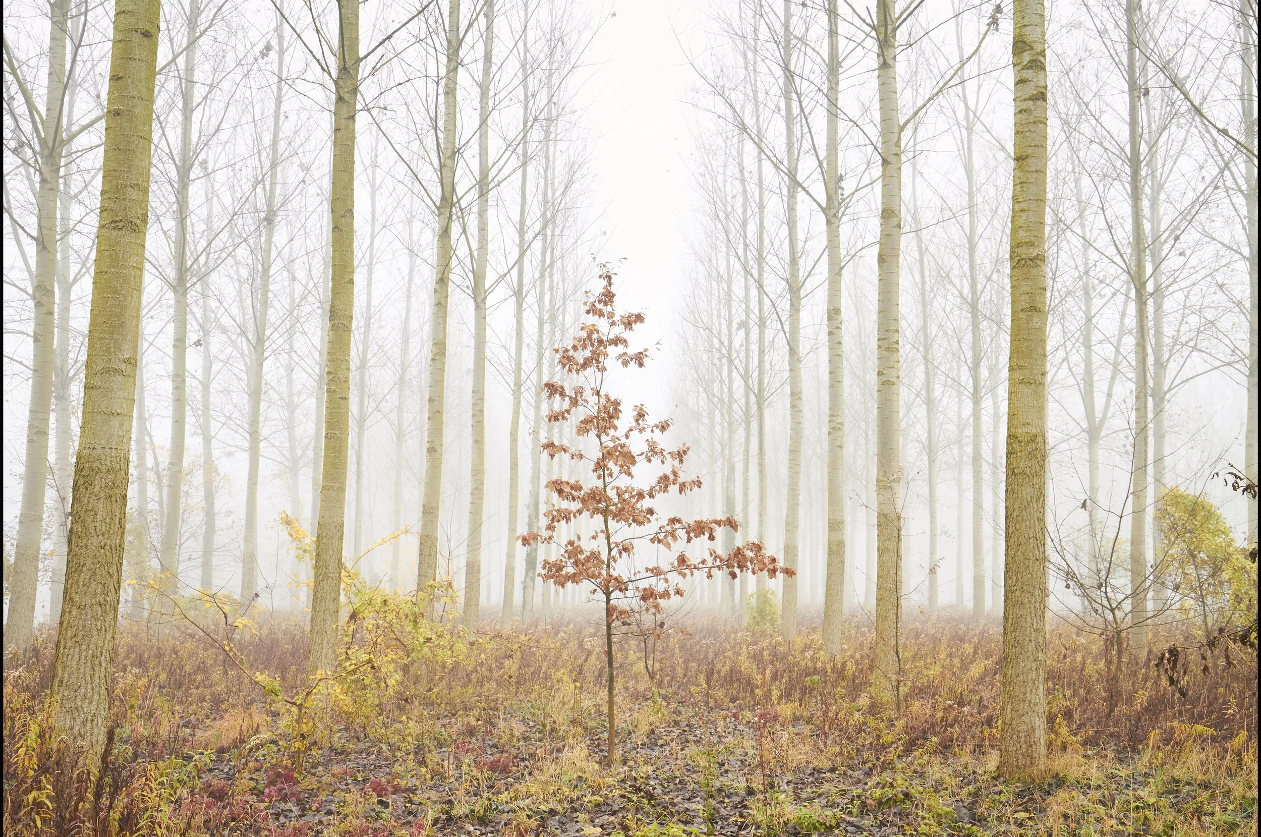 20171114_9YP_Str 00099 2.jpg