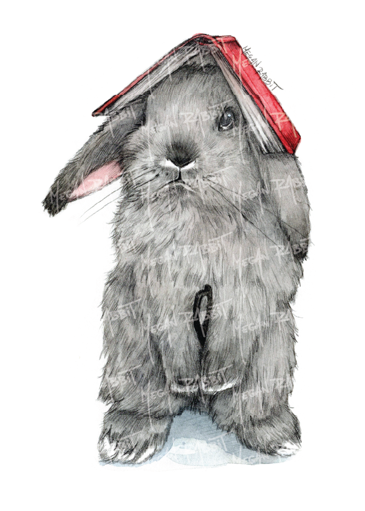 "book head kouhai". 2025. 