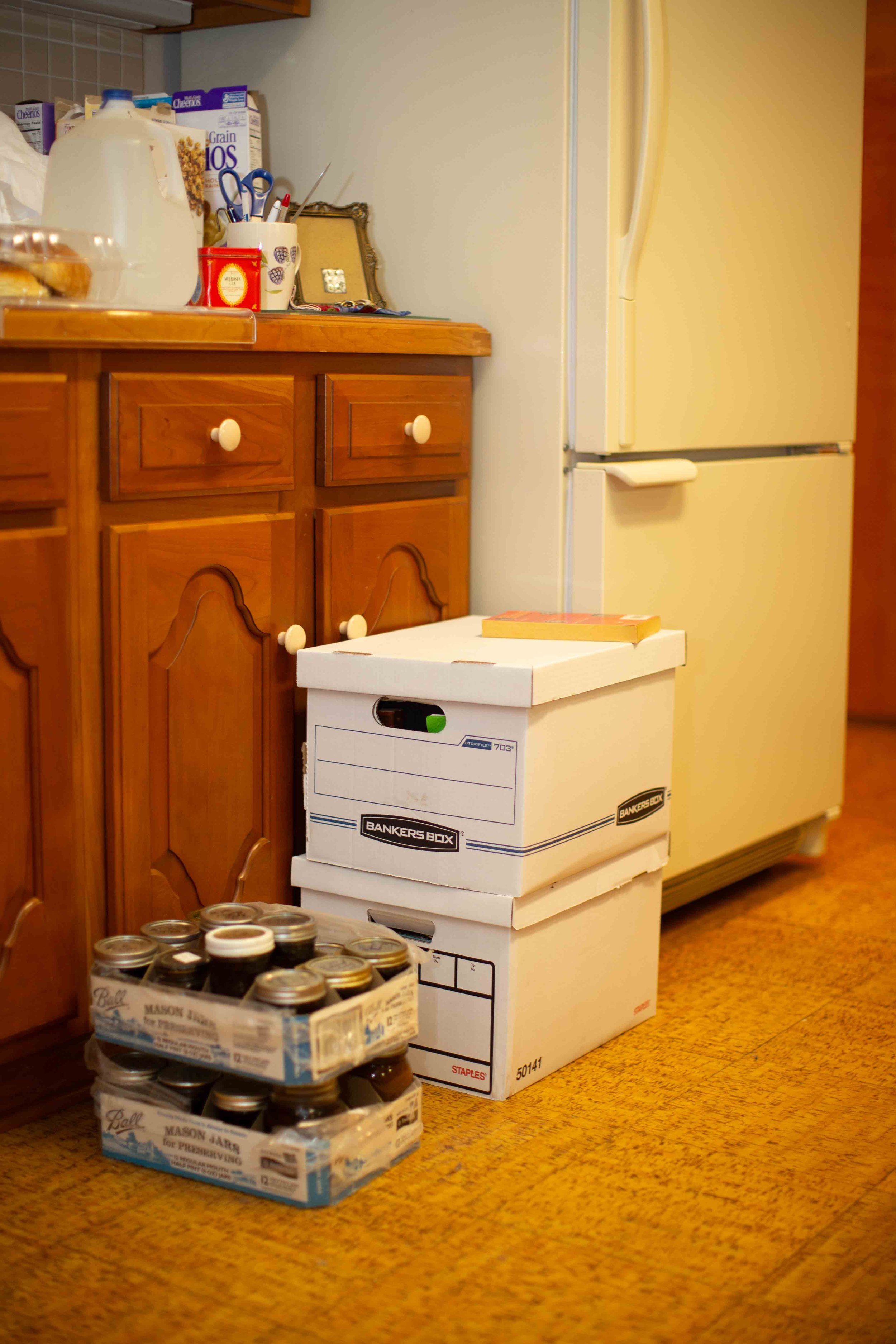 HannahHarleyBouleau_190217_HannahHarley -20190217-7379.jpg