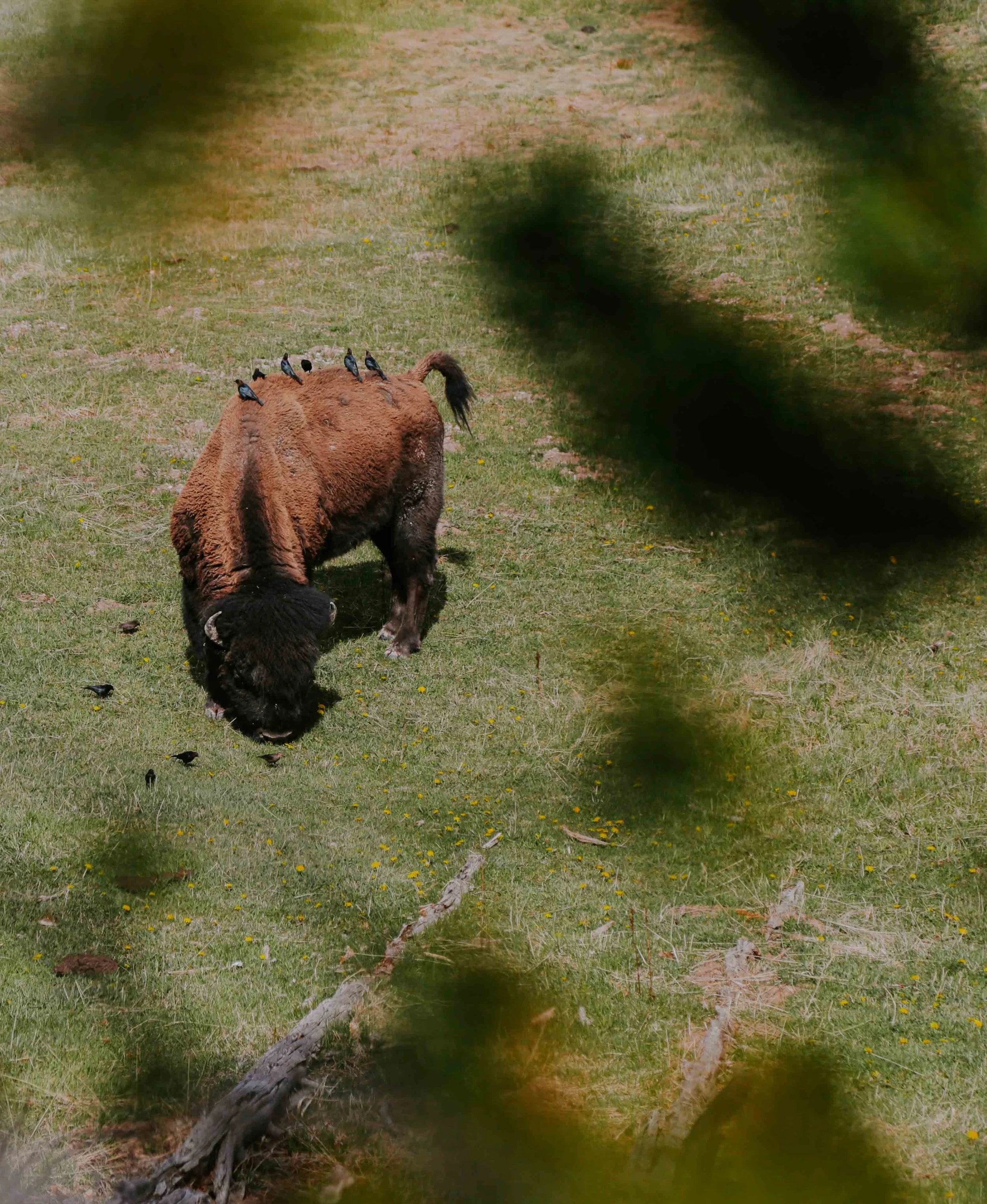 HannahHarley -20150513-3358HHB.jpg