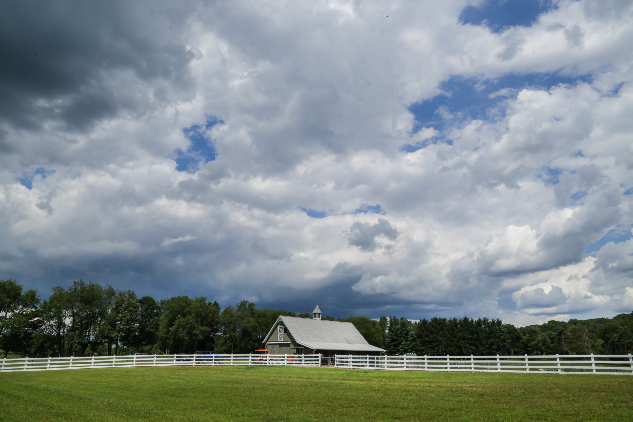 Taken at Four Points Alpacas for Pittsburgh Magazine 