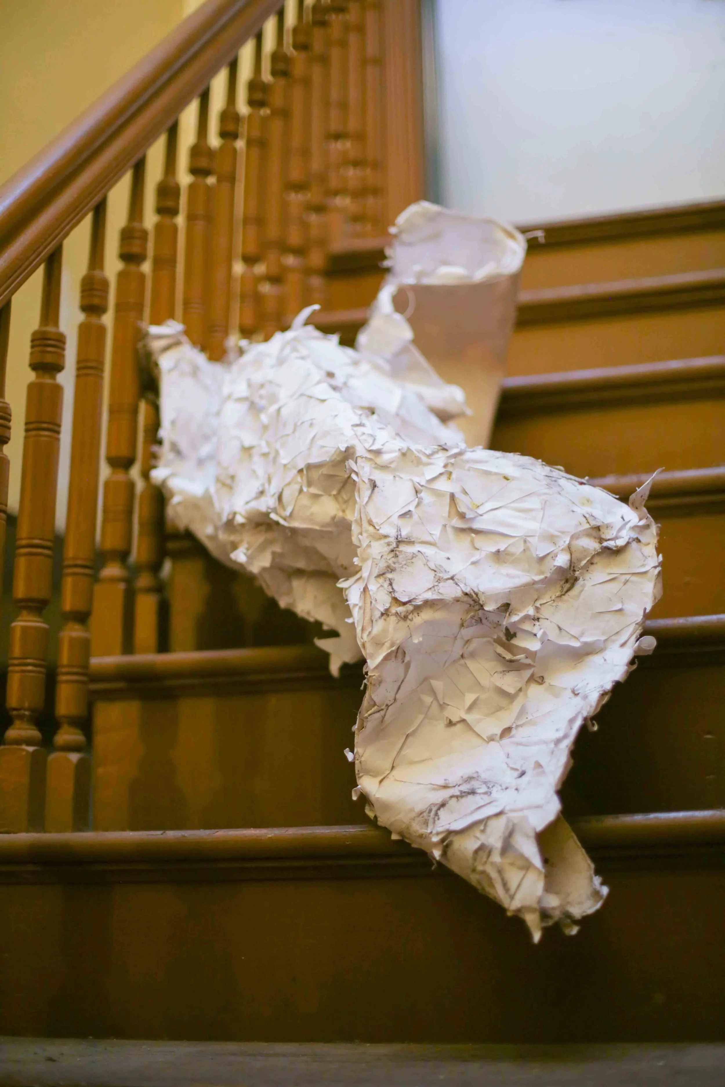 HannahHarley -20160718-5493HHB.jpg