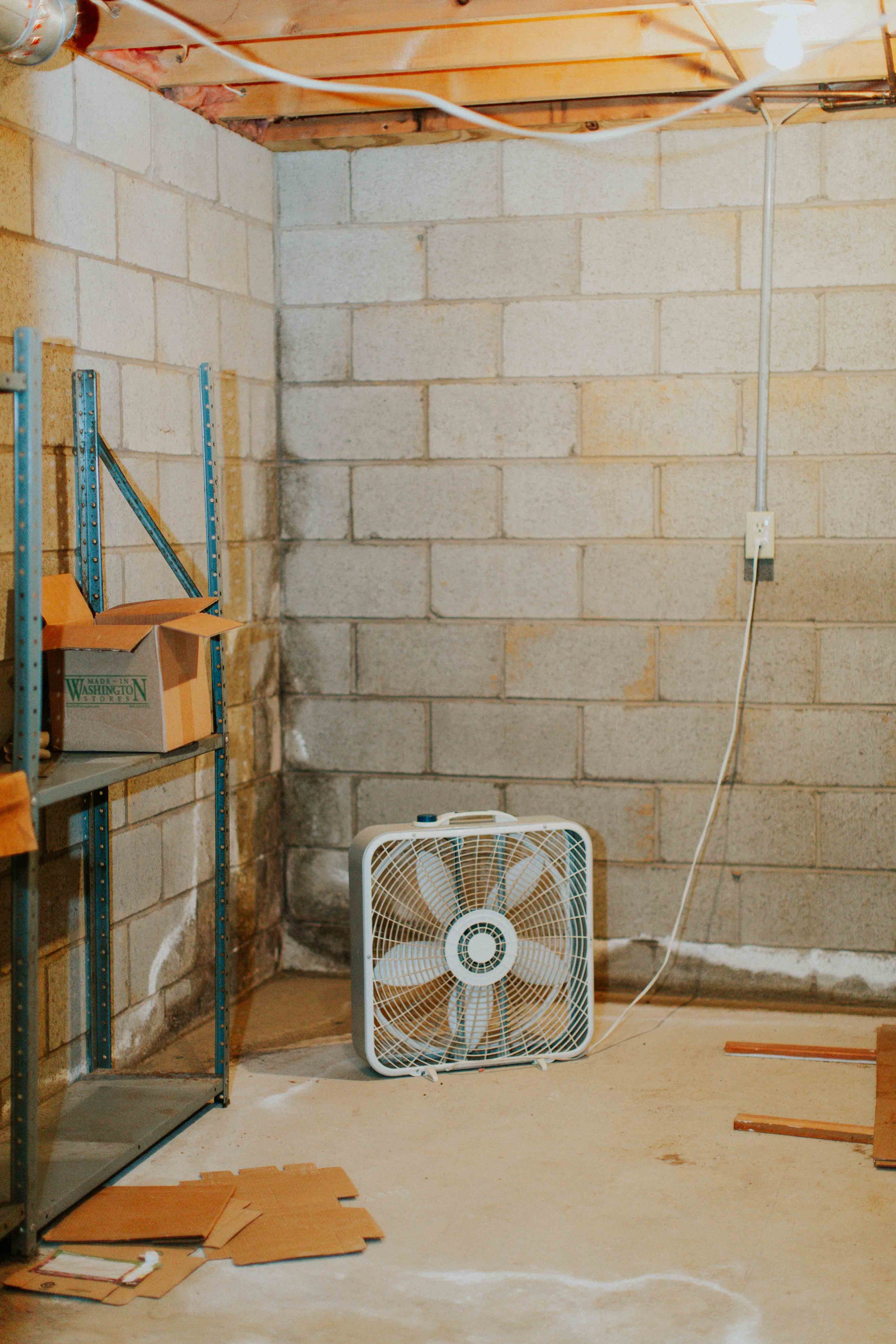 HannahHarleyBouleau_190217_HannahHarley -20190217-7279.jpg