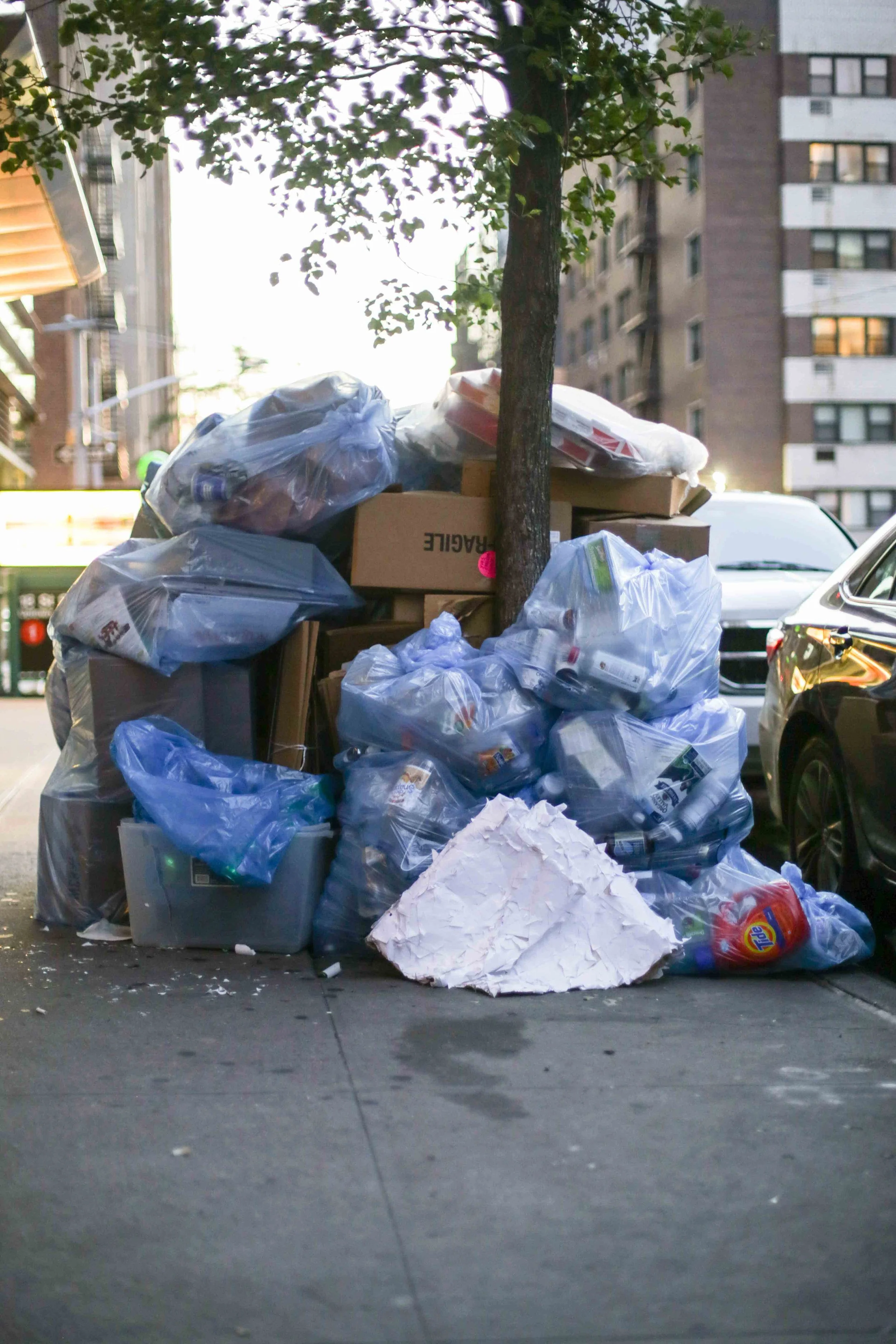 HannahHarley -20160714-5225HHB.jpg