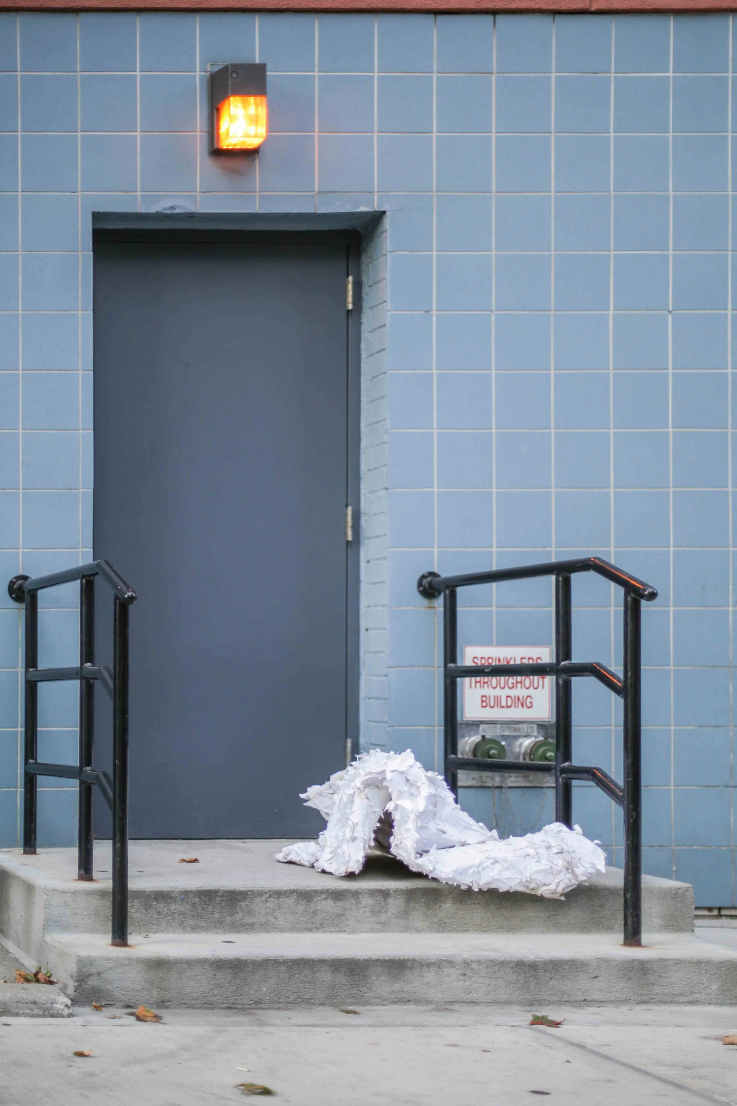 HannahHarley -20160715-5301HHB.jpg