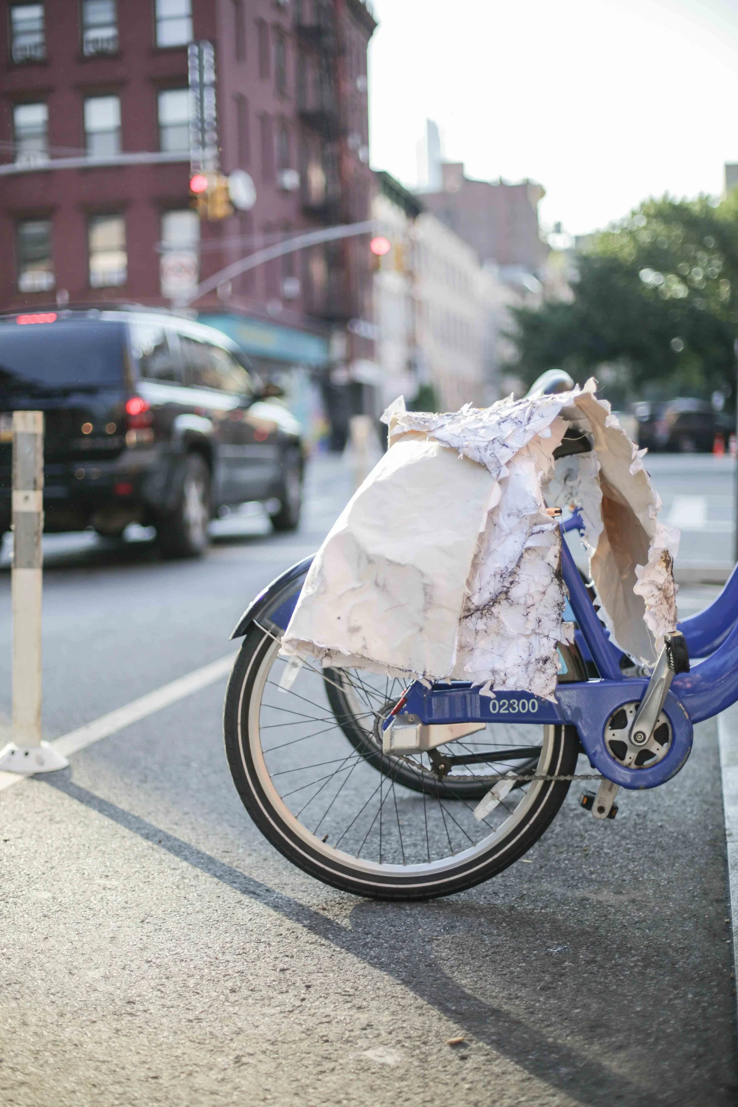 HannahHarley -20160715-5341HHB.jpg